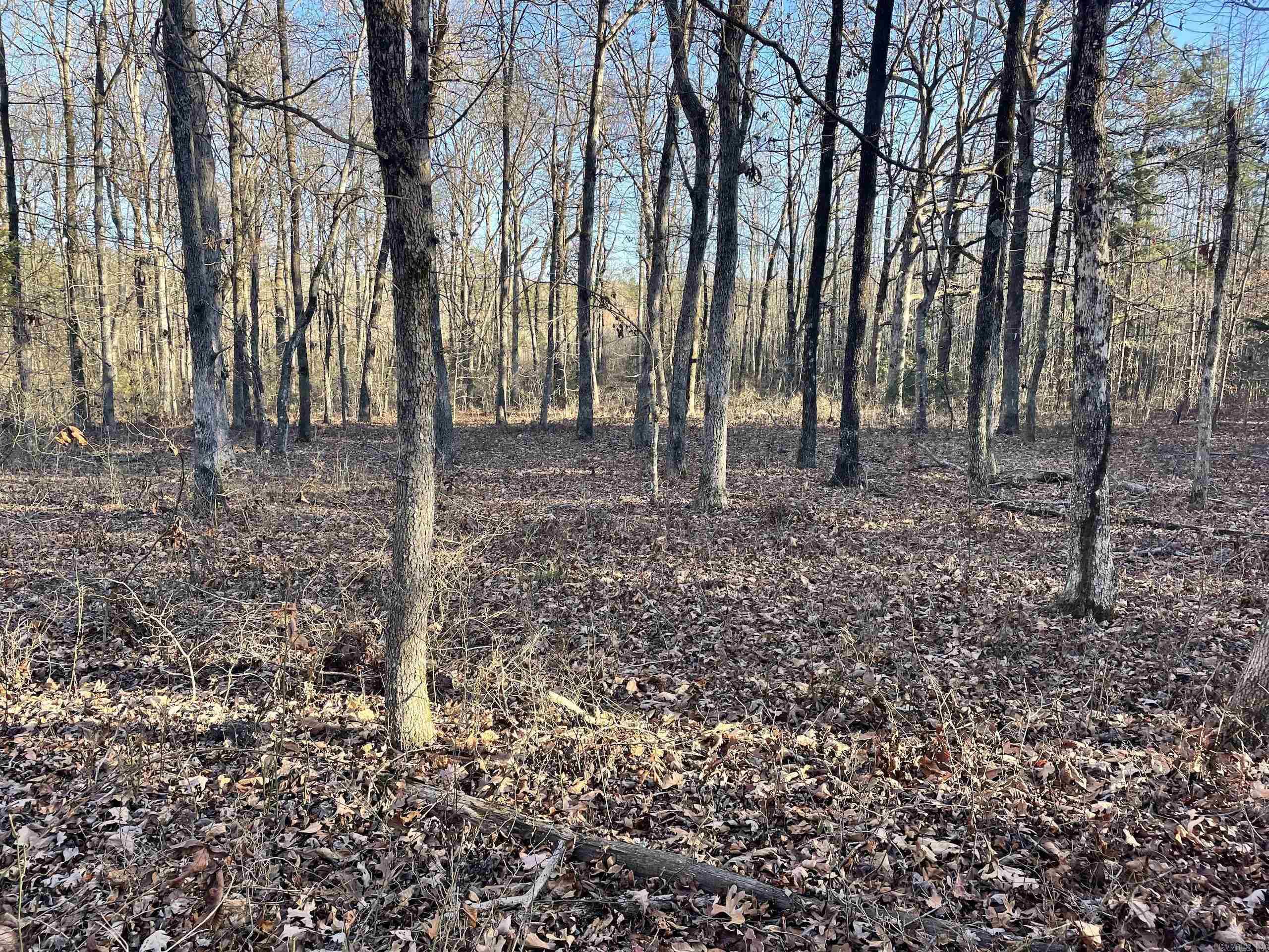 Not in Subdivision - Land