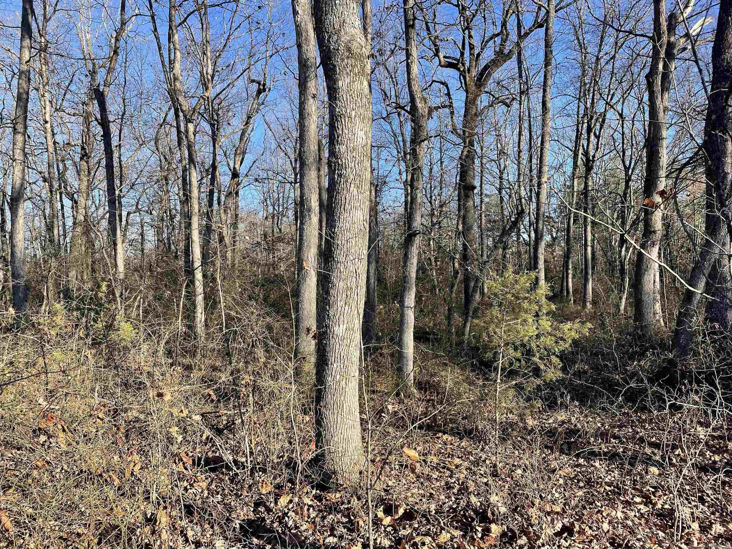 Not in Subdivision - Land