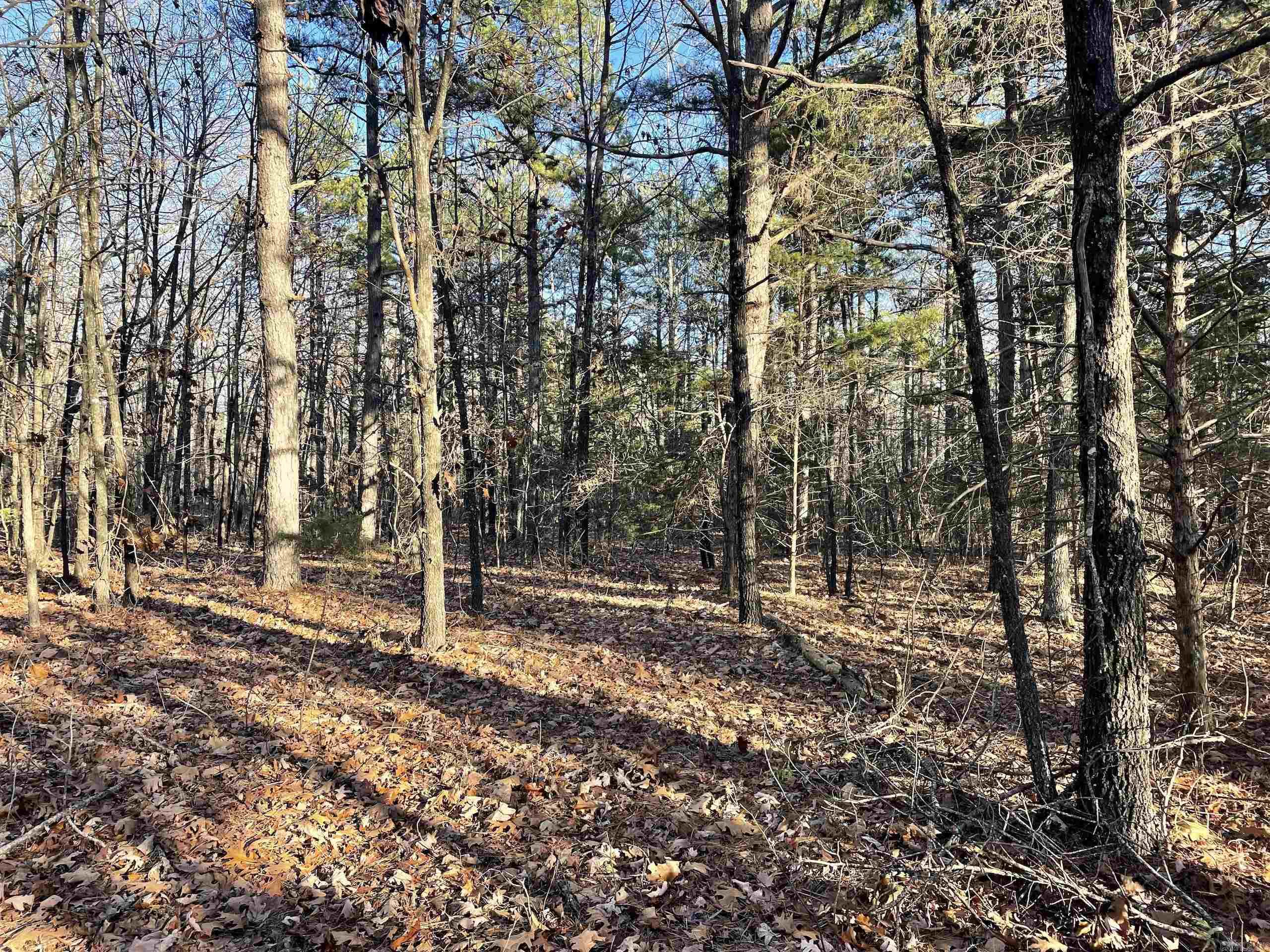 Not in Subdivision - Land