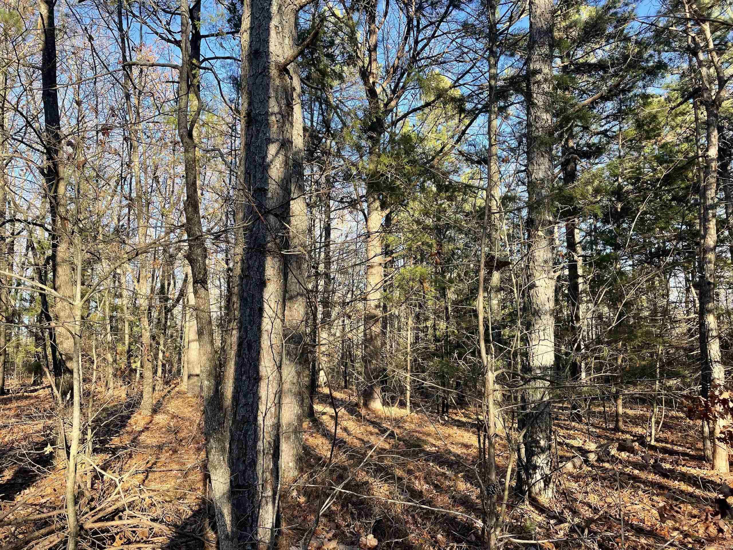 Not in Subdivision - Land