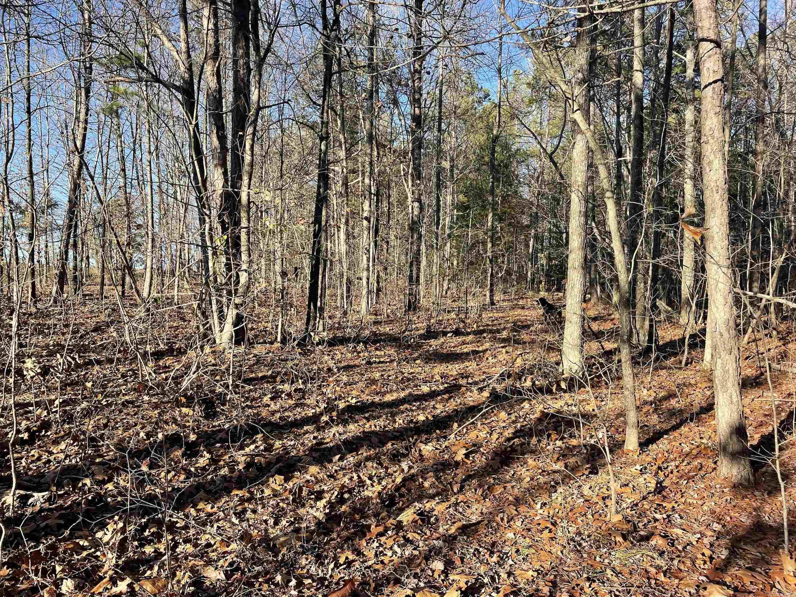 Not in Subdivision - Land
