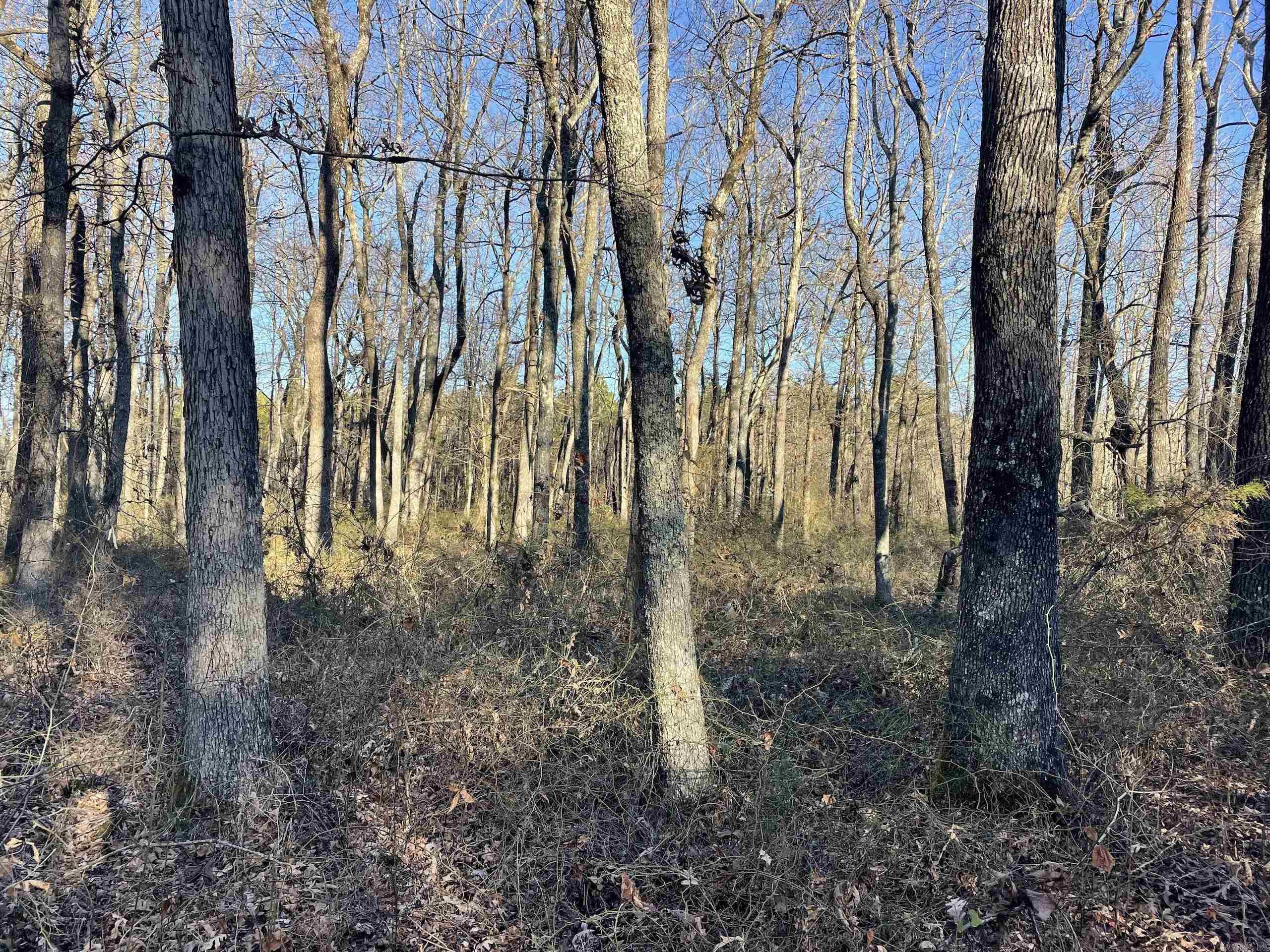 Not in Subdivision - Land