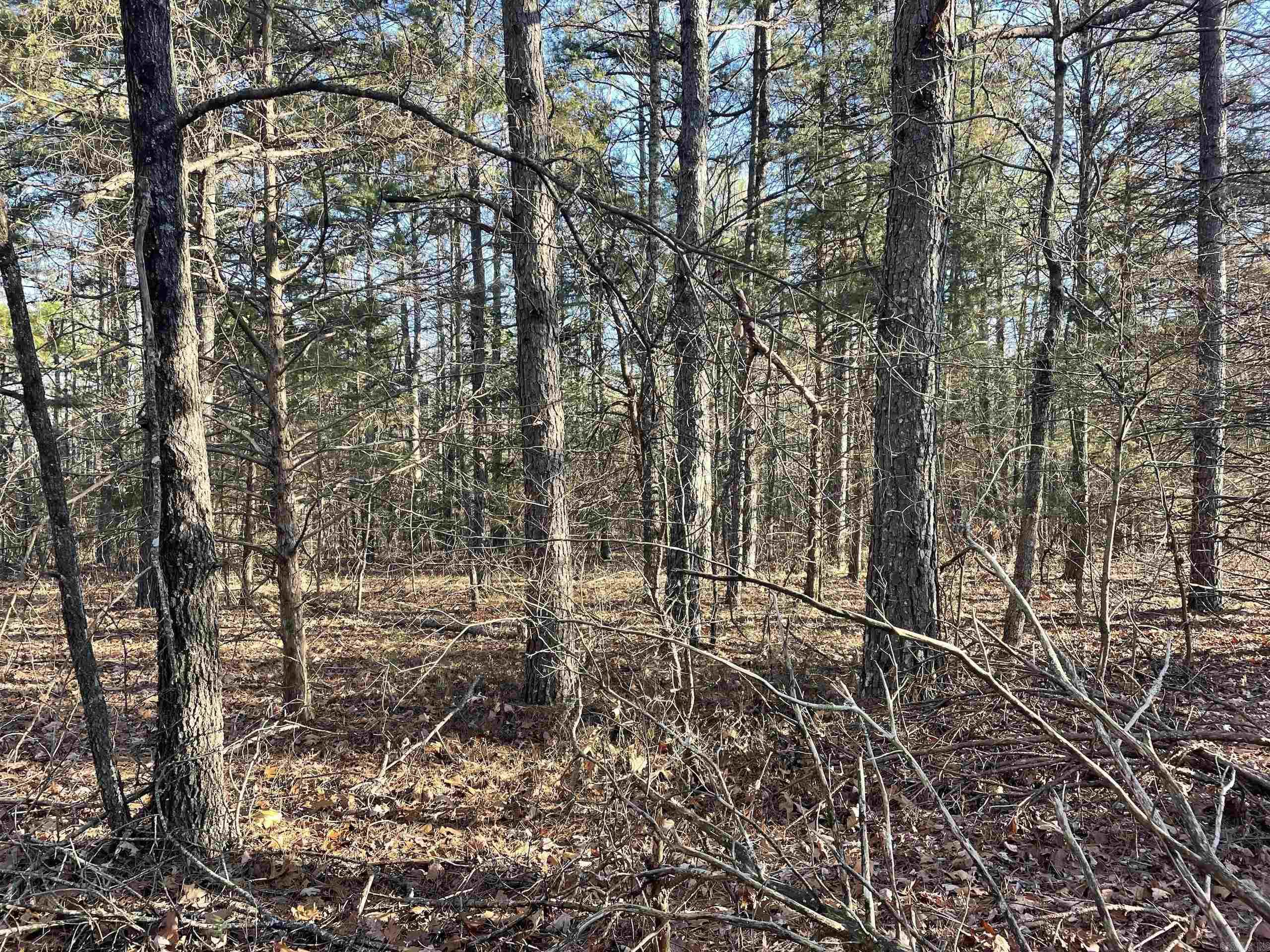 Not in Subdivision - Land