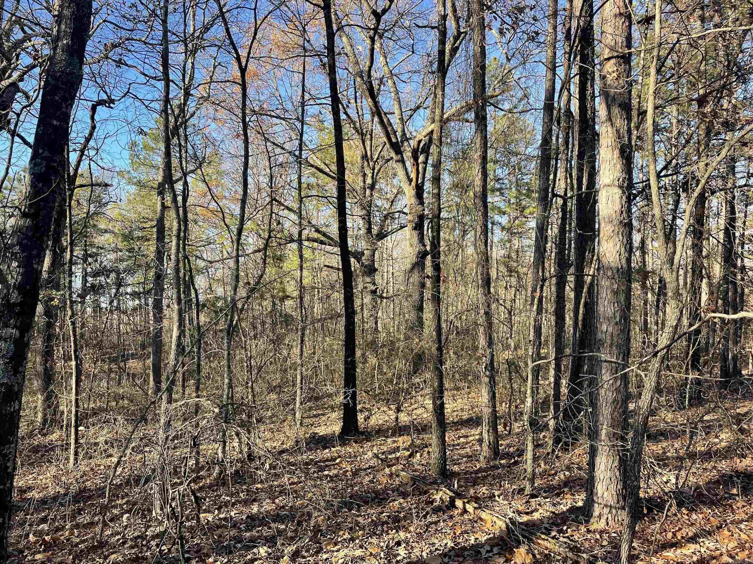 Not in Subdivision - Land