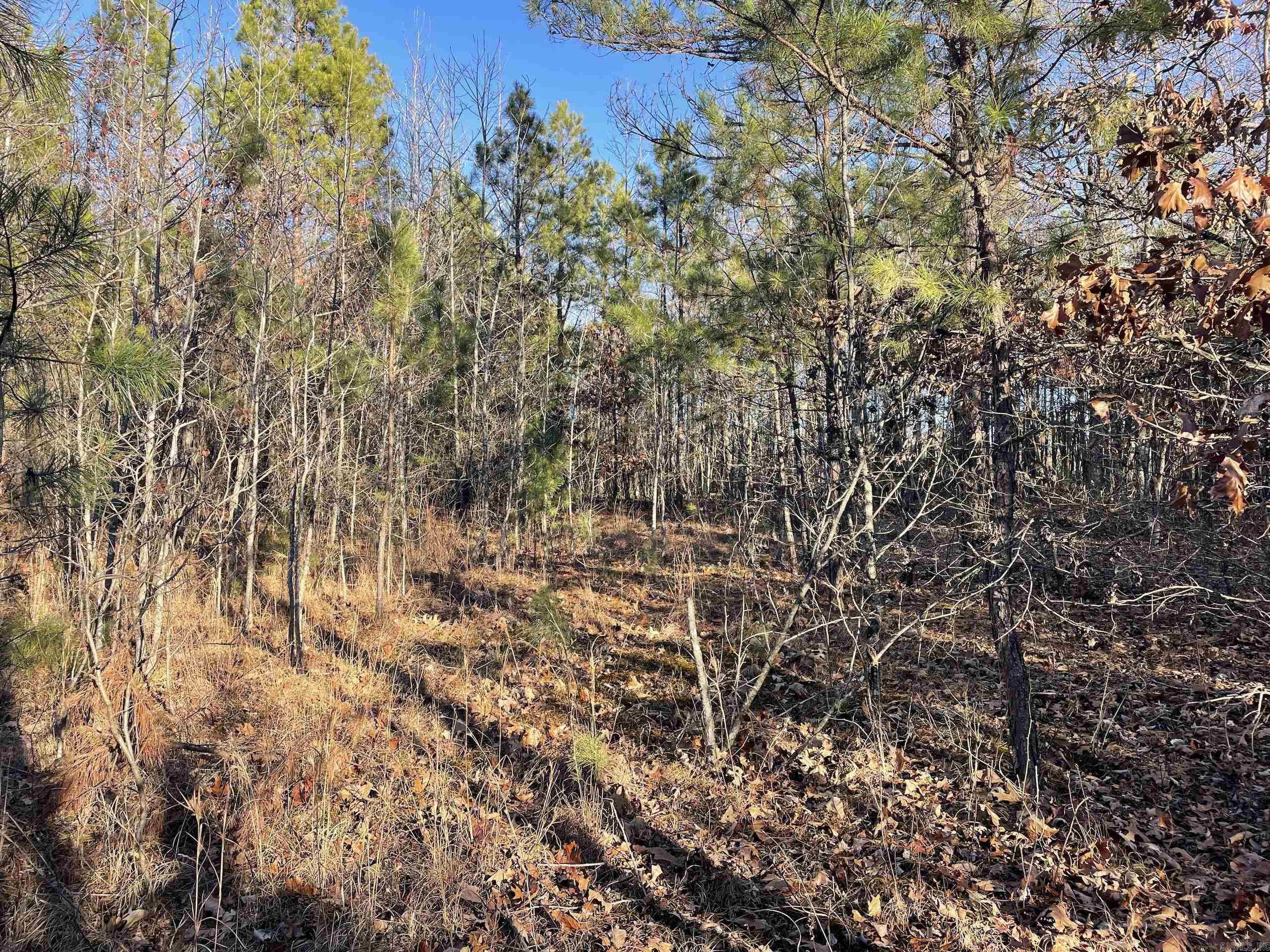 Not in Subdivision - Land