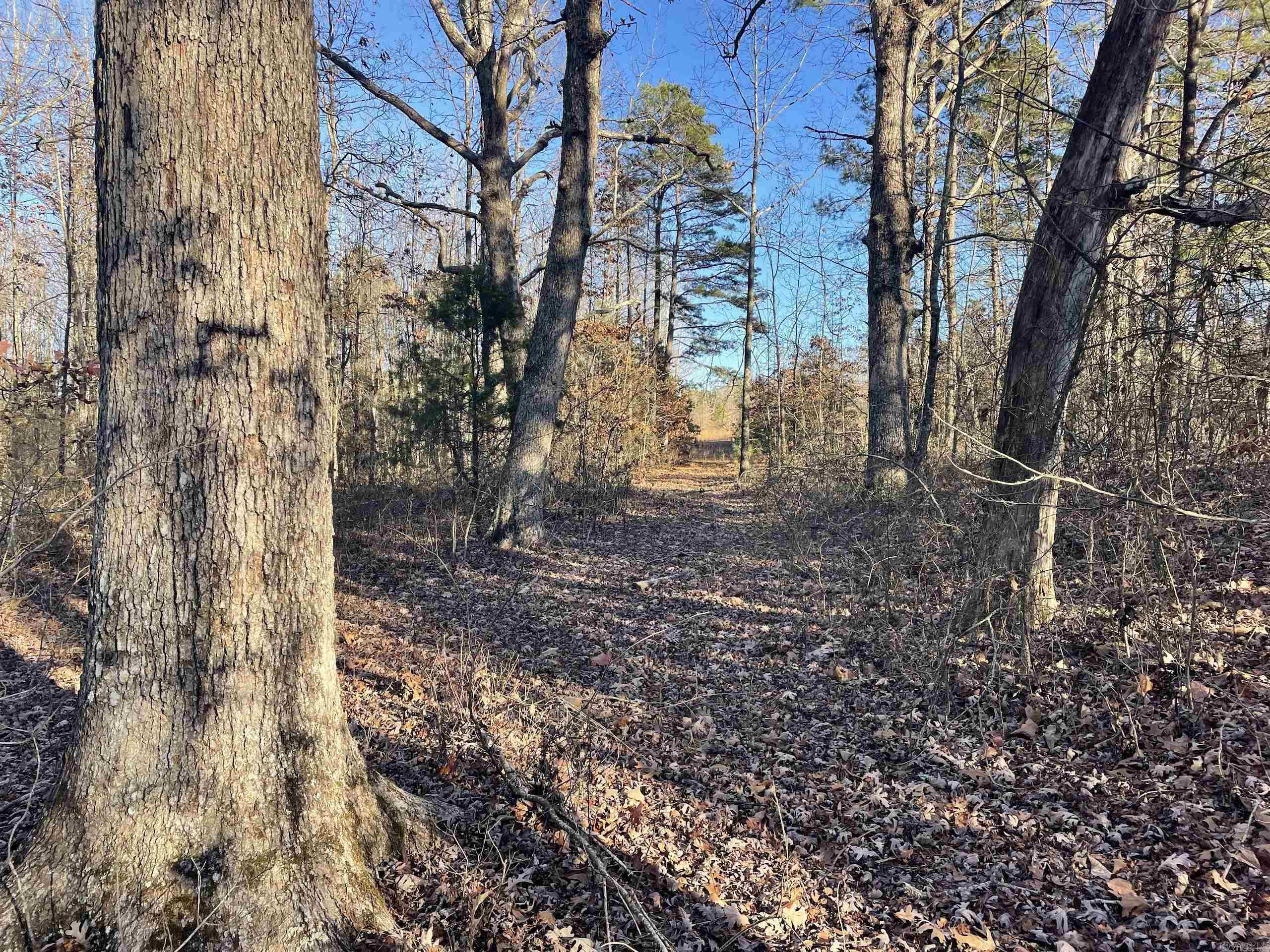 Not in Subdivision - Land