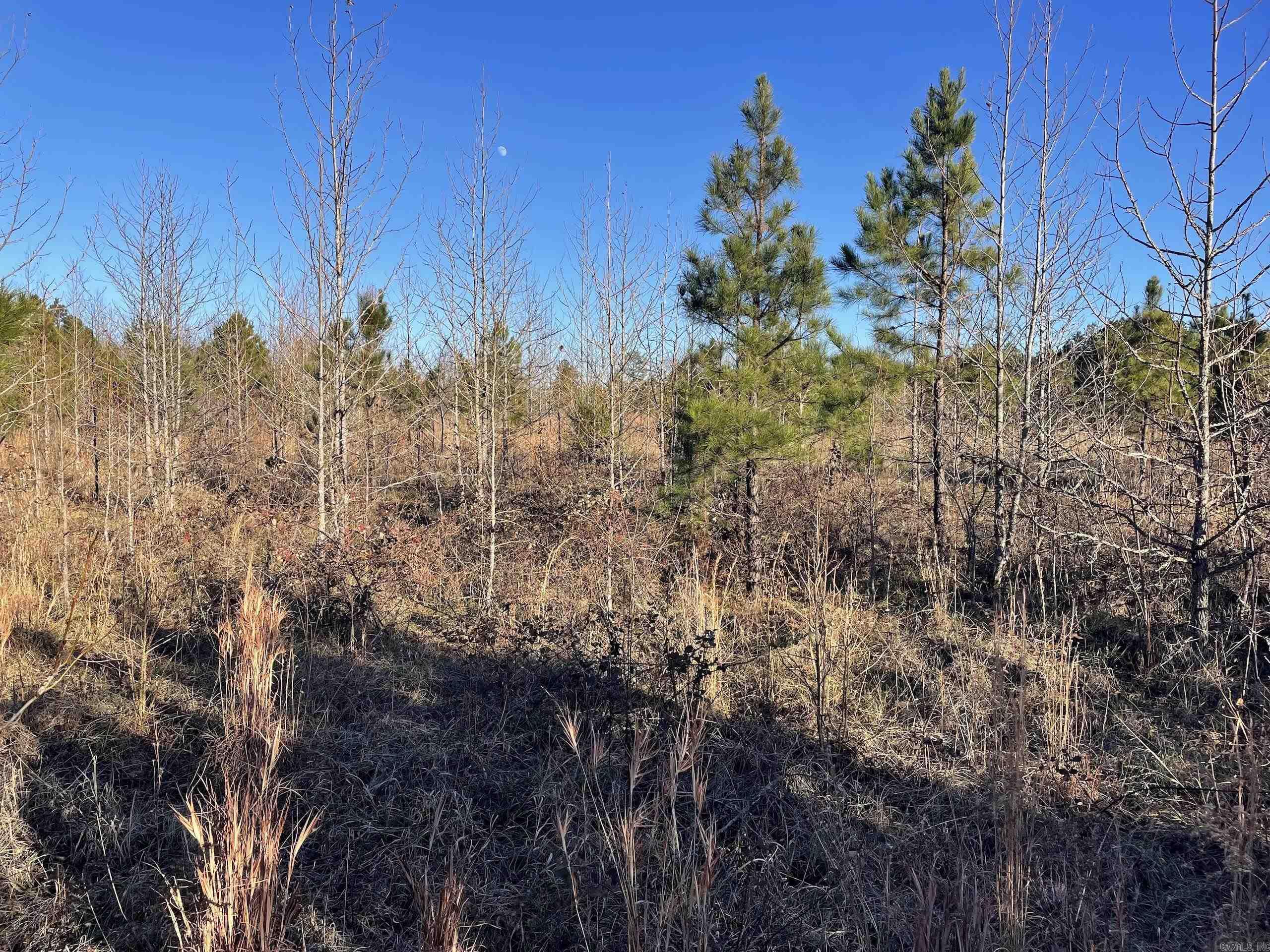 Not in Subdivision - Land