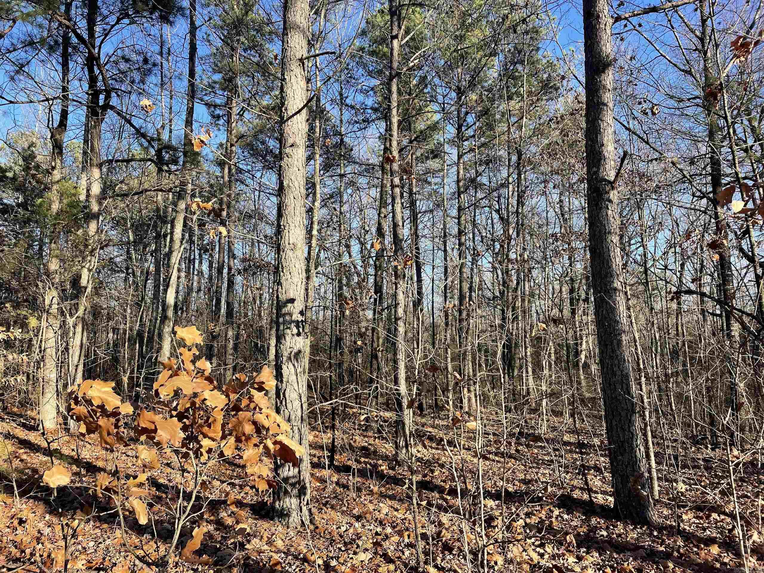 Not in Subdivision - Land
