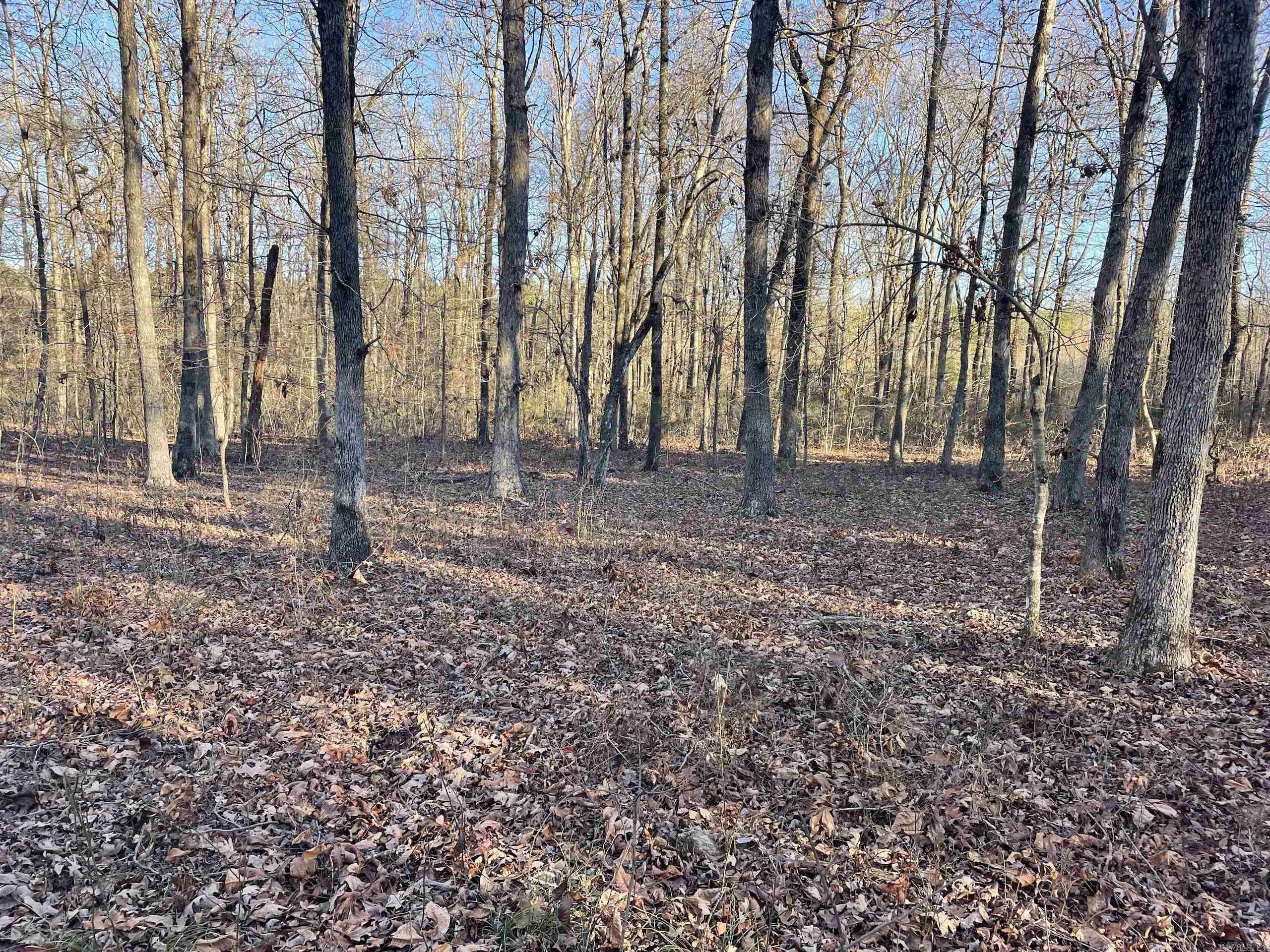 Not in Subdivision - Land