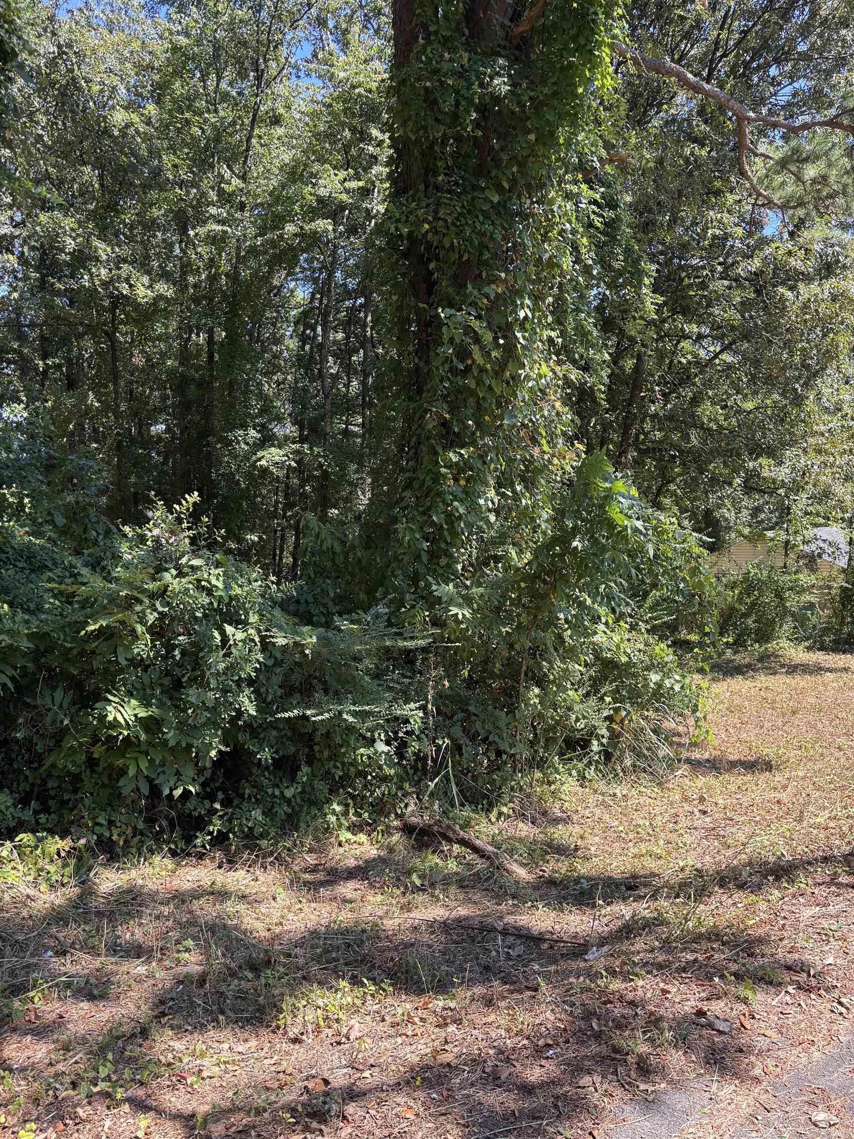 Replat Spring Hill - Land