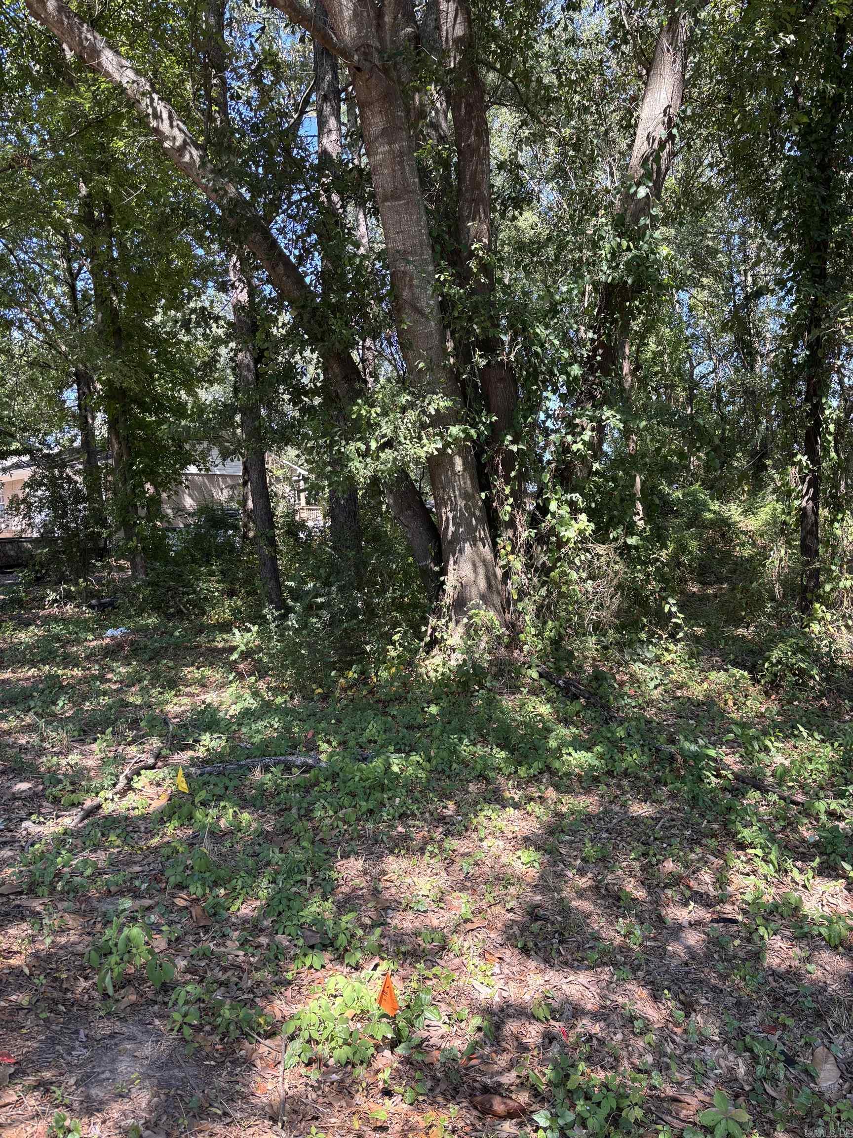 Replat Spring Hill - Land