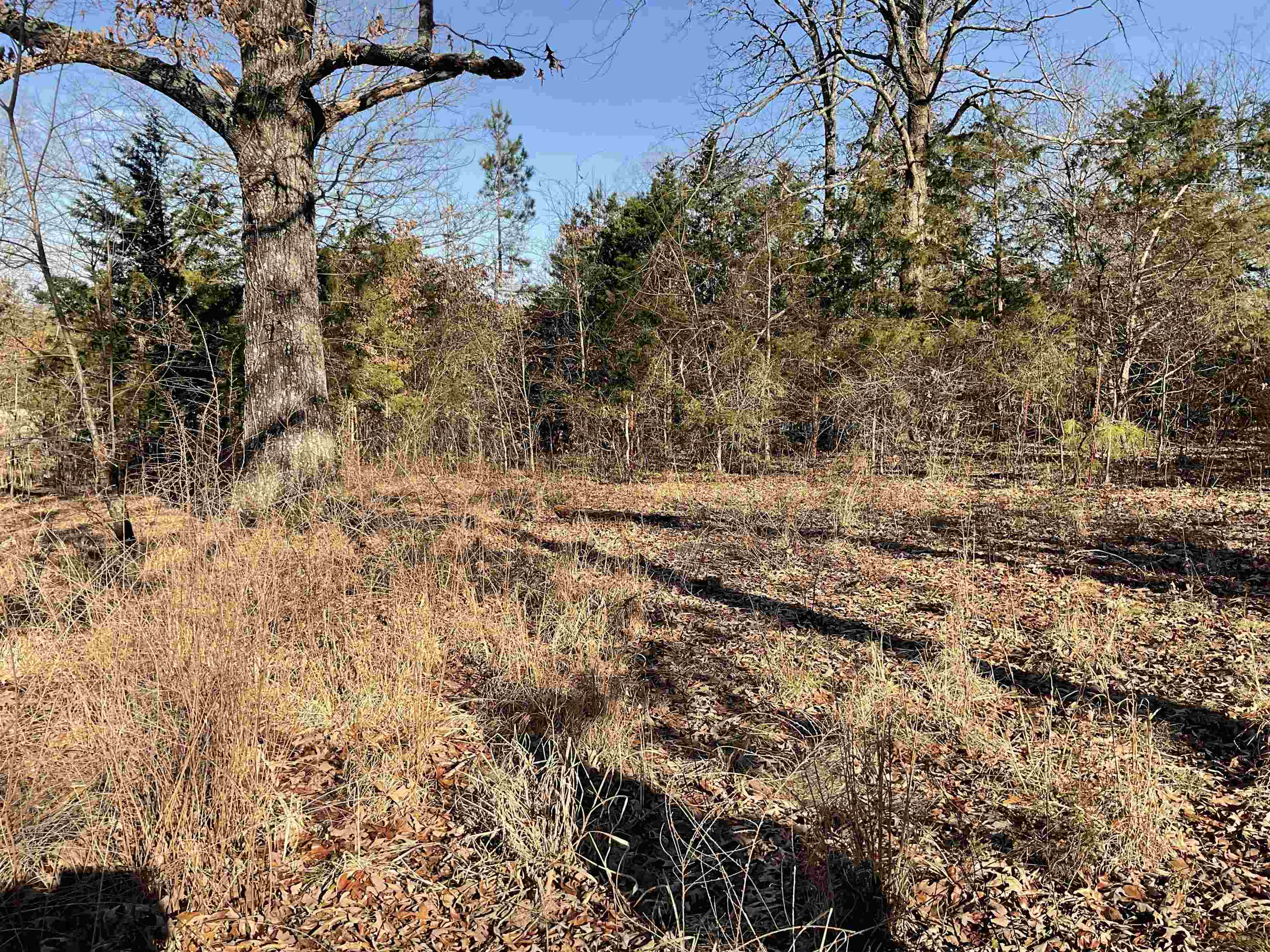 Metes & Bounds - Land