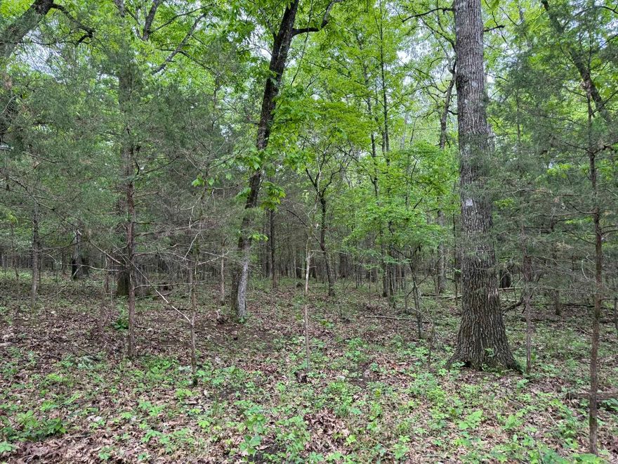 This 26 -acre hunting property in North Central Arkansas offers a prime mix of natural beauty and recreational potential.  Located just one hour from Jonesboro, AR, and a little over two hours from Memphis, TN, this property provides the perfect balance of seclusion but not too far of a drive away from the city. Just a mile from Big Creek, you’ll have easy access to fantastic kayaking and fishing.  The geography of this acreage is actually a large plateau that is mainly covered in white oak timber and few limestone rock outcroppings with the occasional pine and cedar tree. It creates an excellent habitat for deer and turkey, which is perfect for bedding and roosting.  The property is also located near Harold Alexander Wildlife Management Area, offering additional opportunities for hunting and outdoor recreation. For more information about the nearby Harold Alexander Wildlife Management Area, visit: https://www.agfc.com/en/zone-map/667/  This 26-acre property is accessible via an easement road and is listed at just $65,000.