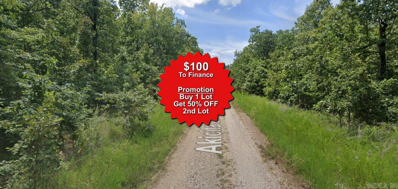 Buy one lot and get 50% off an additional lot! Owner-finance for easy terms. Cash buyers can pay by debit or credit card as well. Nice lot to develop or hold for future value. Public water and electric are available to run to property and will need septic. Owner/agent. No mobiles allowed. 300-2500 minimum build size on any other type of home, depending on subdivision. Finance is $100 down and 10 months at $99 and closing costs are included. Lots marked with red banner are part of promotion. No limit on lots. Buyer responsible for any/all taxes and lots sold "as-is". Quit claim deed conveys. Parcel ID# 305-17643-000