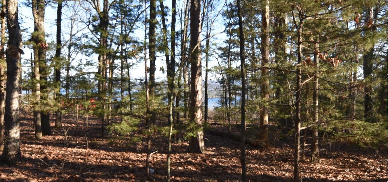 Discover your piece of paradise in stunning Fairfield Bay, Arkansas! This lot has a seasonal lake view and is located in an exclusive cul de sac neighborhood making it an ideal spot to construct your dream home. Situated near the breathtaking Greers Ferry Lake, this area caters to all, whether you're a passionate angler, a boating enthusiast, or someone who cherishes tranquil waterside moments. Fairfield Bay doesn't stop there; it boasts an impressive selection of facilities for its residents, including three swimming pools, two 18-hole golf courses, hiking and biking paths, ATV/UTV trails, pickleball and tennis courts, not to mention a full-service marina. Seeking outdoor thrills, a sociable tennis match, or serene poolside relaxation, Fairfield Bay delivers. The lot has access to sewer service & public water.