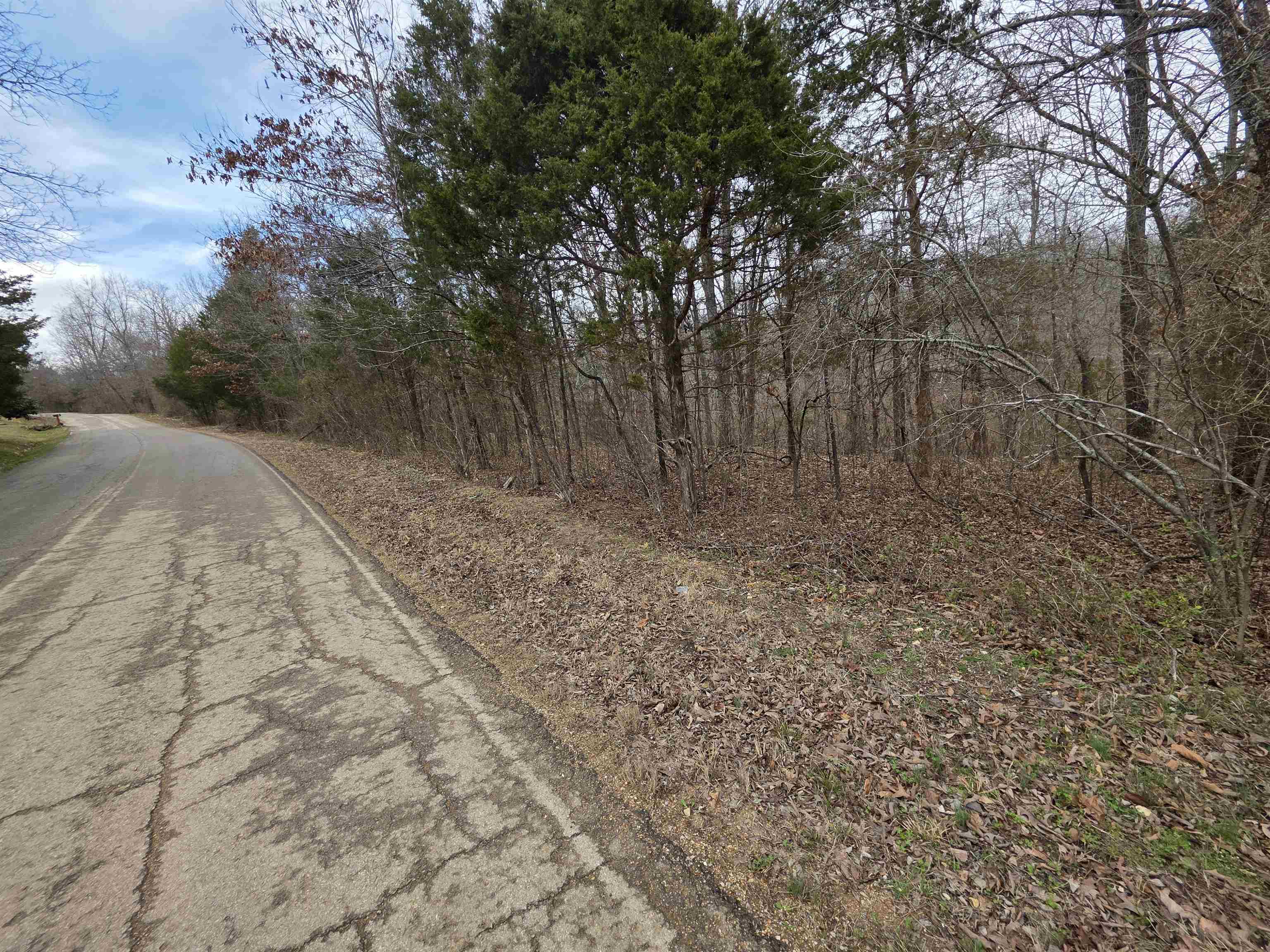 BUCKSKIN ADDN - Land