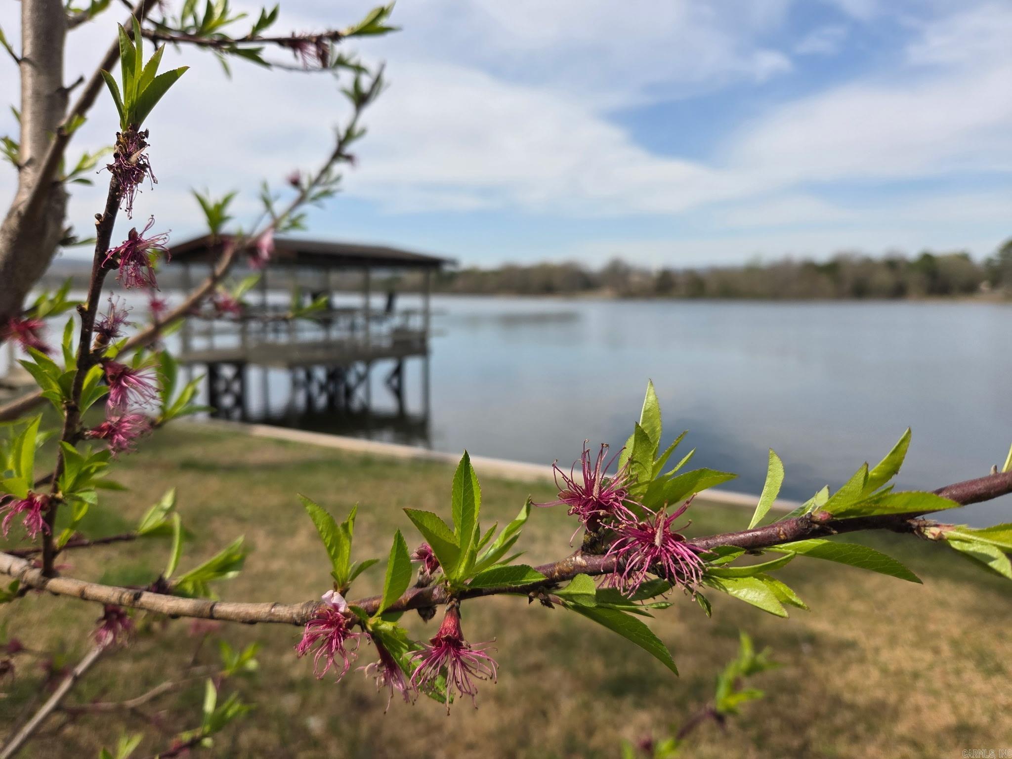 Lake Mena - Residential