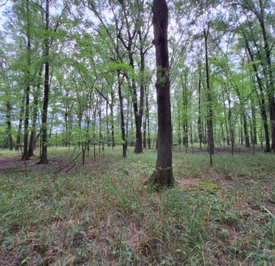 Beautiful place to hunt and build your new house on or build a cabin or you can put a mobile home on it. Wooded, partially cleared and at the end of the road but not far from the freeway and less than 10 minutes from Searcy. Such a pretty place that has so many options.