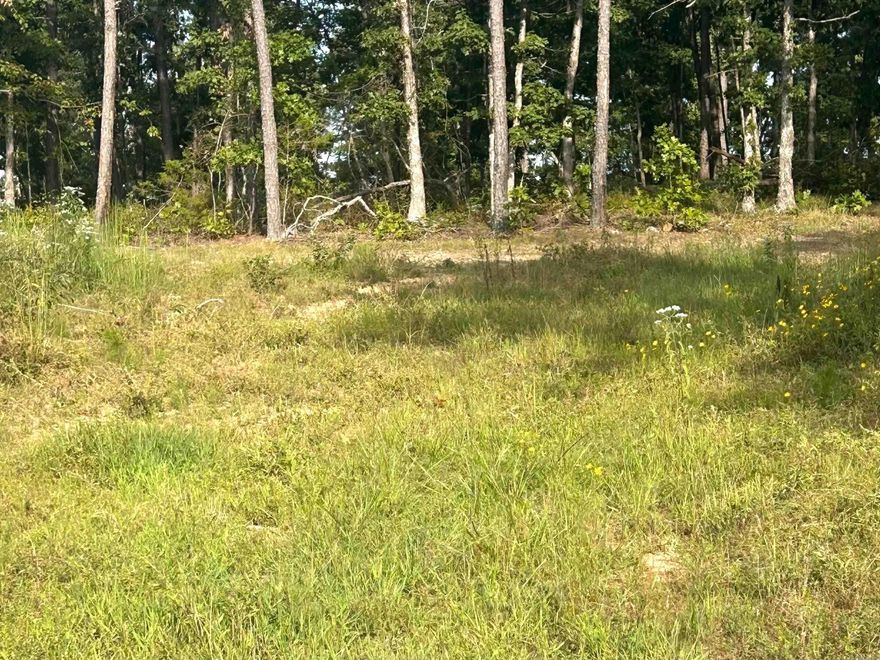 Discover 14.75 acres of prime land offering endless potential! Whether you're looking to build your dream home, start a farm, or invest in future development, this expansive property provides the space and flexibility you need.