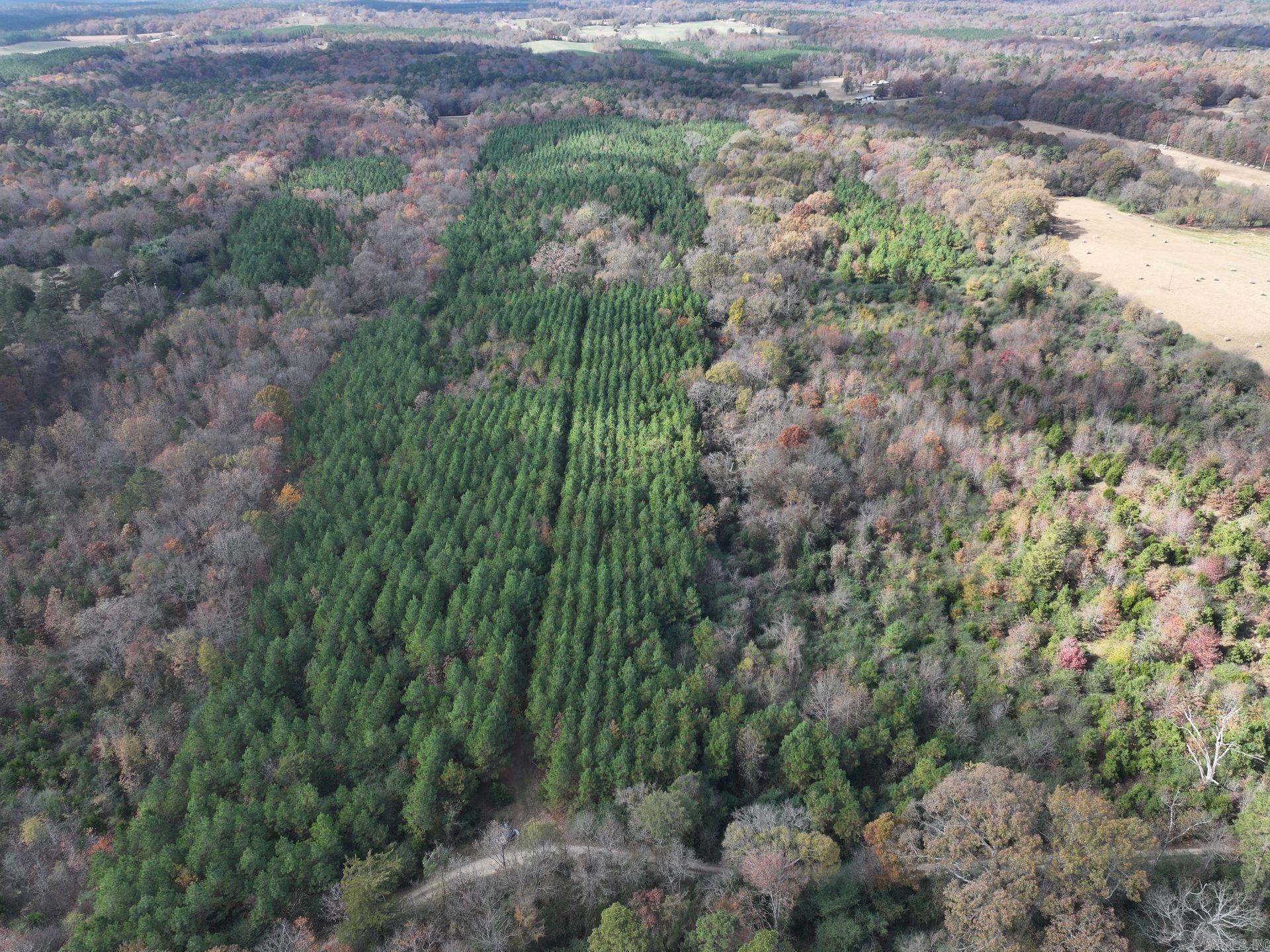 Metes & Bounds - Land