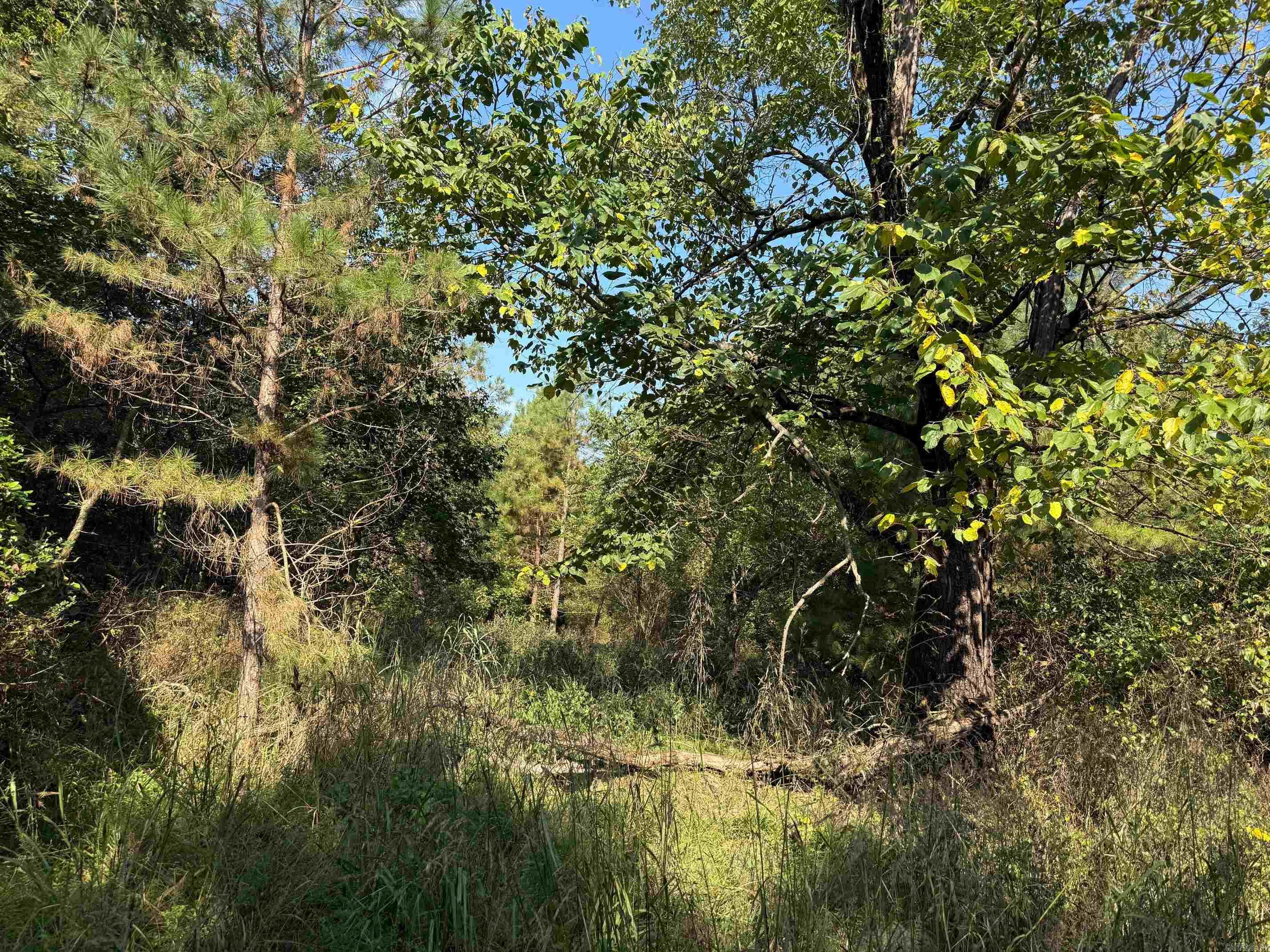 Metes & Bounds - Land