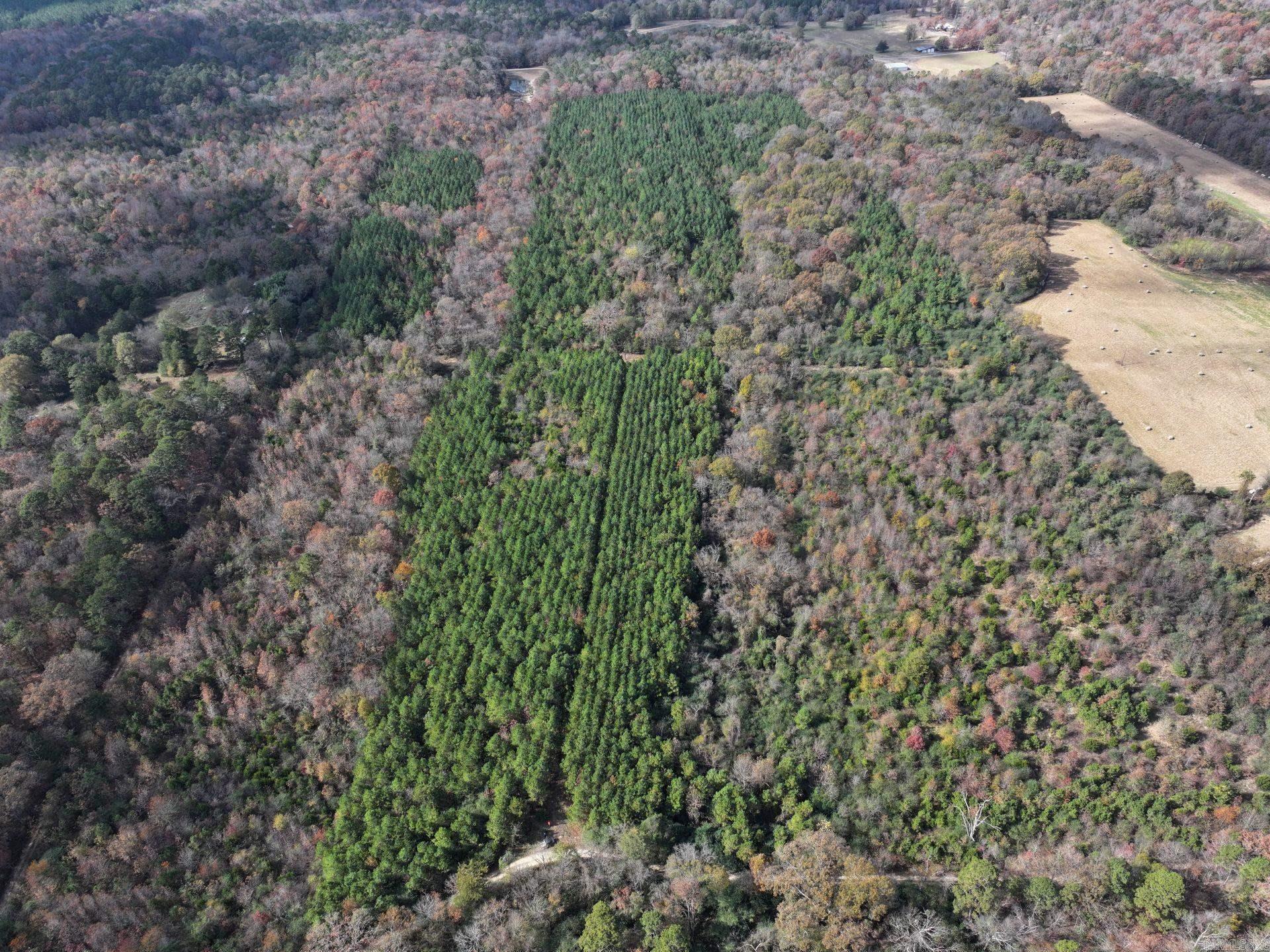 Metes & Bounds - Land