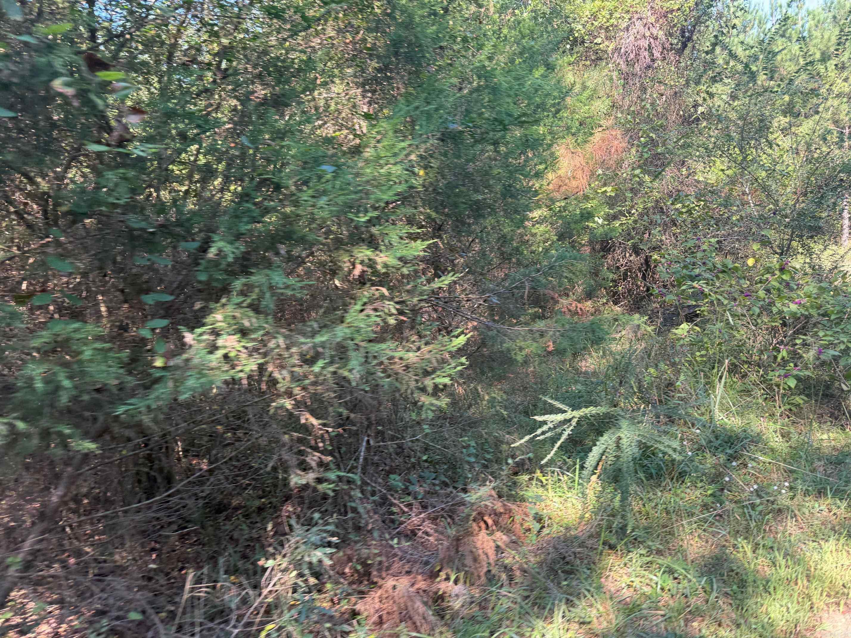 Metes & Bounds - Land