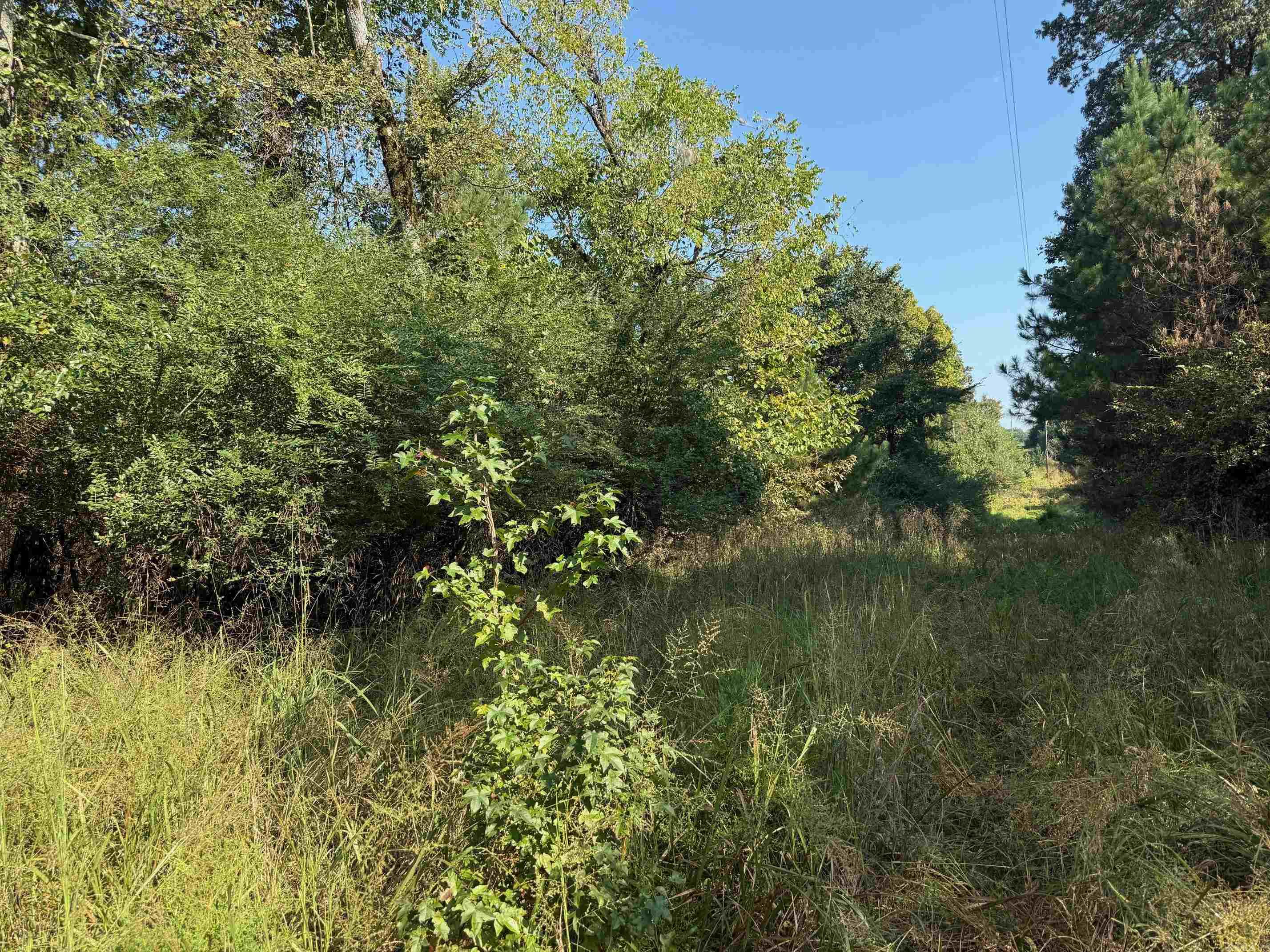 Metes & Bounds - Land