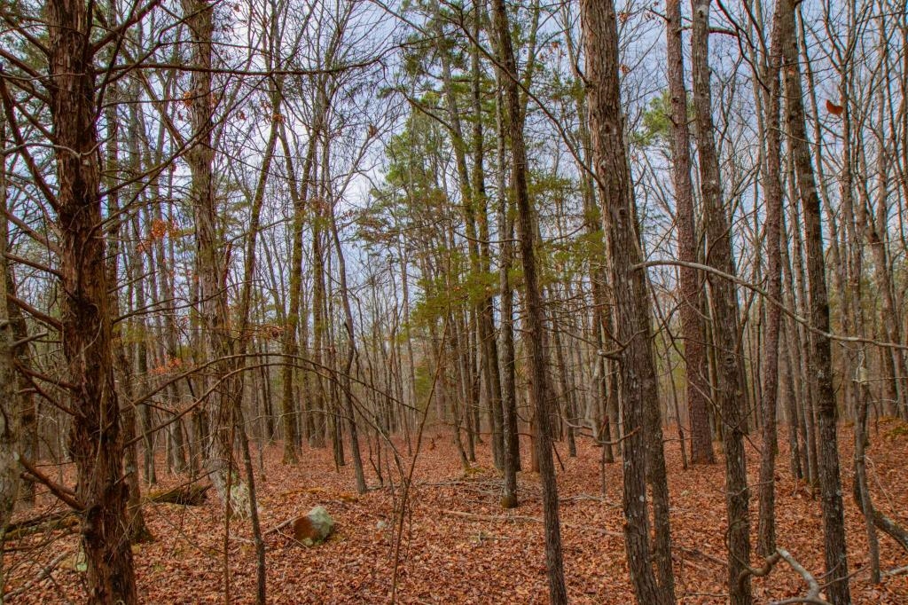 Pine Mountain - Land