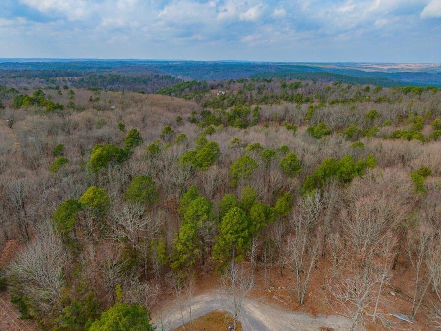 Escape to 1.65 acres of unrestricted, buildable land in the Pine Mountain Subdivision of White County. SOLD AS-IS. This heavily wooded lot offers privacy, seclusion, and a perfect retreat from the hustle and bustle—whether you're looking to build a home, set up a weekend getaway, or invest in land with no restrictions! Electrical near the property. By frontage road for easy access. Act now and make it yours!
