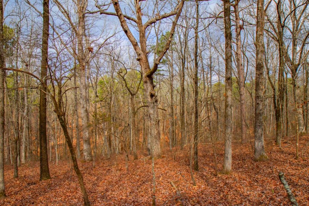 Pine Mountain - Land