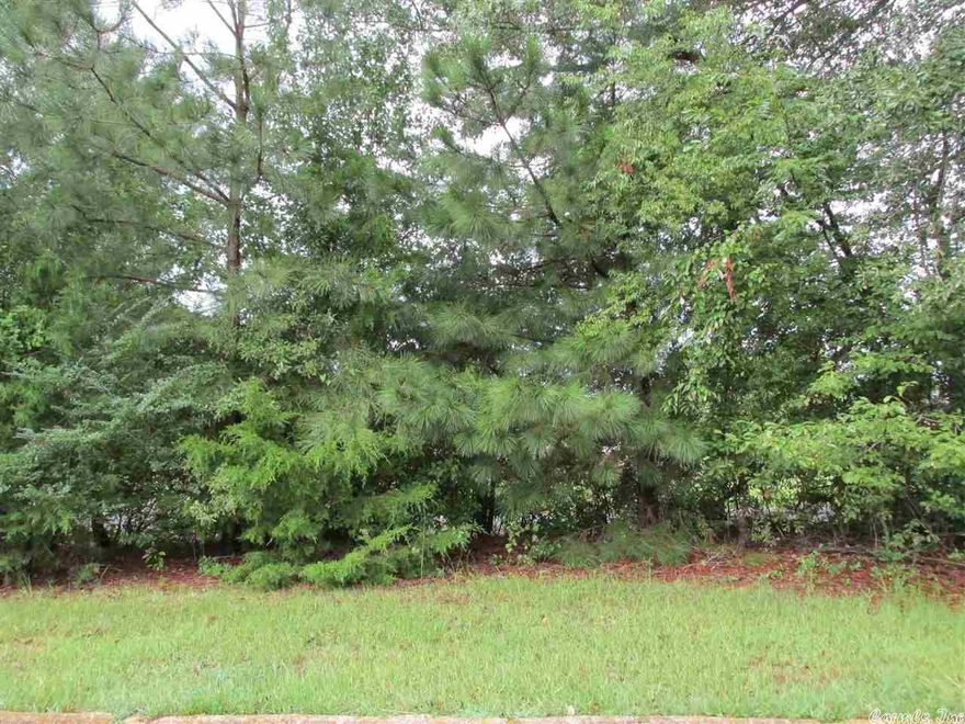 Great farm land. Don't wait!