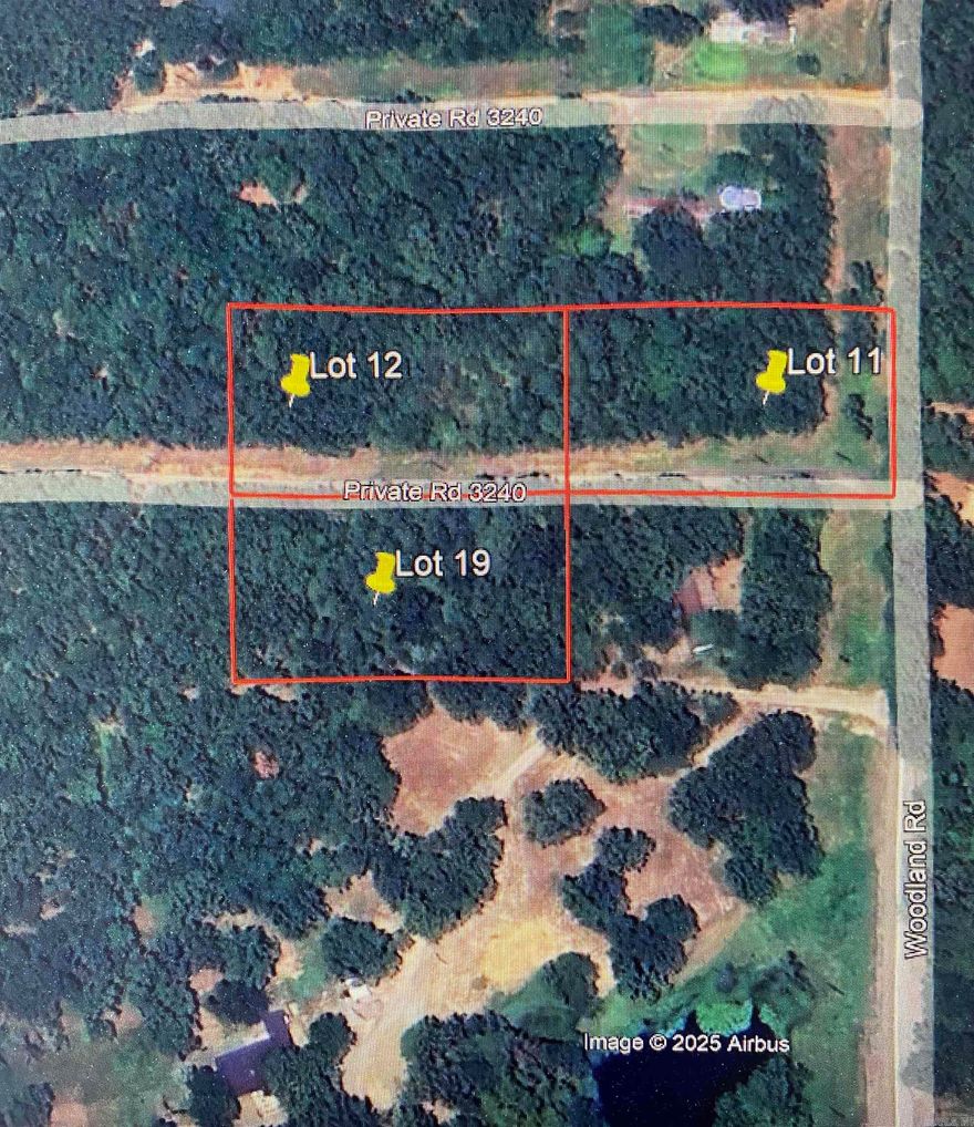 Owner Financing Option!!!  Tucked away in the peaceful Woodland community, this 1-acre wooded lot offers a secluded, natural setting with everything you need to get started. Enjoy Private Road access, electricity on site, and water available at the pavement.  The land is level at the road and gently declines toward the back, creating an ideal build site surrounded by mature shade trees. A meandering wet-weather stream adds charm and natural interest to the property—perfect for those who appreciate a scenic, quiet retreat. Owner financing available with 3k down and 225/month for 36 months.