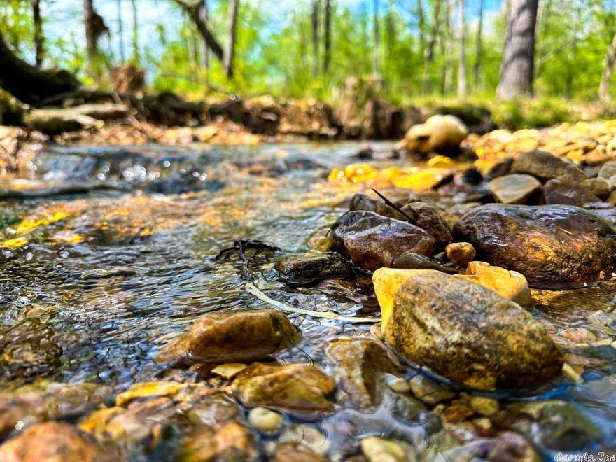 PRICE IMPROVEMENT! 40 Acre paradise with year round creek running through it! John's Branch creek meanders through the parcel of land that is surrounded by timber company forestland . This is a natures lover or a hunters mecca. Almost off grid and very private. Perfect place for cabin or glamping area! Big demand property. Electric is available or solar panels. A water well will be needed plus a septic system. Comes with a deeded easement for access.