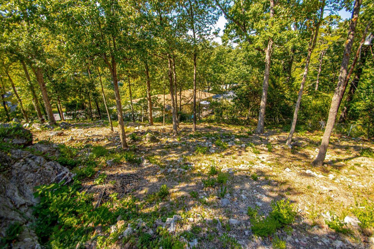 Plaza Heights - Residential