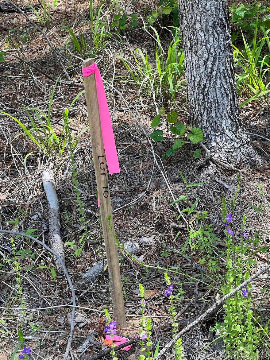 4.59 acres+/-  LOOK!  Mobile home friendly!   You can build or put  new mobile home right on this property . Restriction will apply. Rural Water will be at the road.