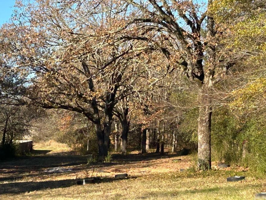 If you’ve been dreaming of a little elbow room and country living, this 0.71-acre lot just outside city limits in Sherwood is calling your name. Some trees have already been cleared, so you’ve got a wide-open start to design the home you’ve always wanted — shop, porch swings, garden, firepit… you name it. Enjoy the freedom and flexibility of being outside city limits while still just a short drive to town conveniences.  — this one is ready for you to make it yours.