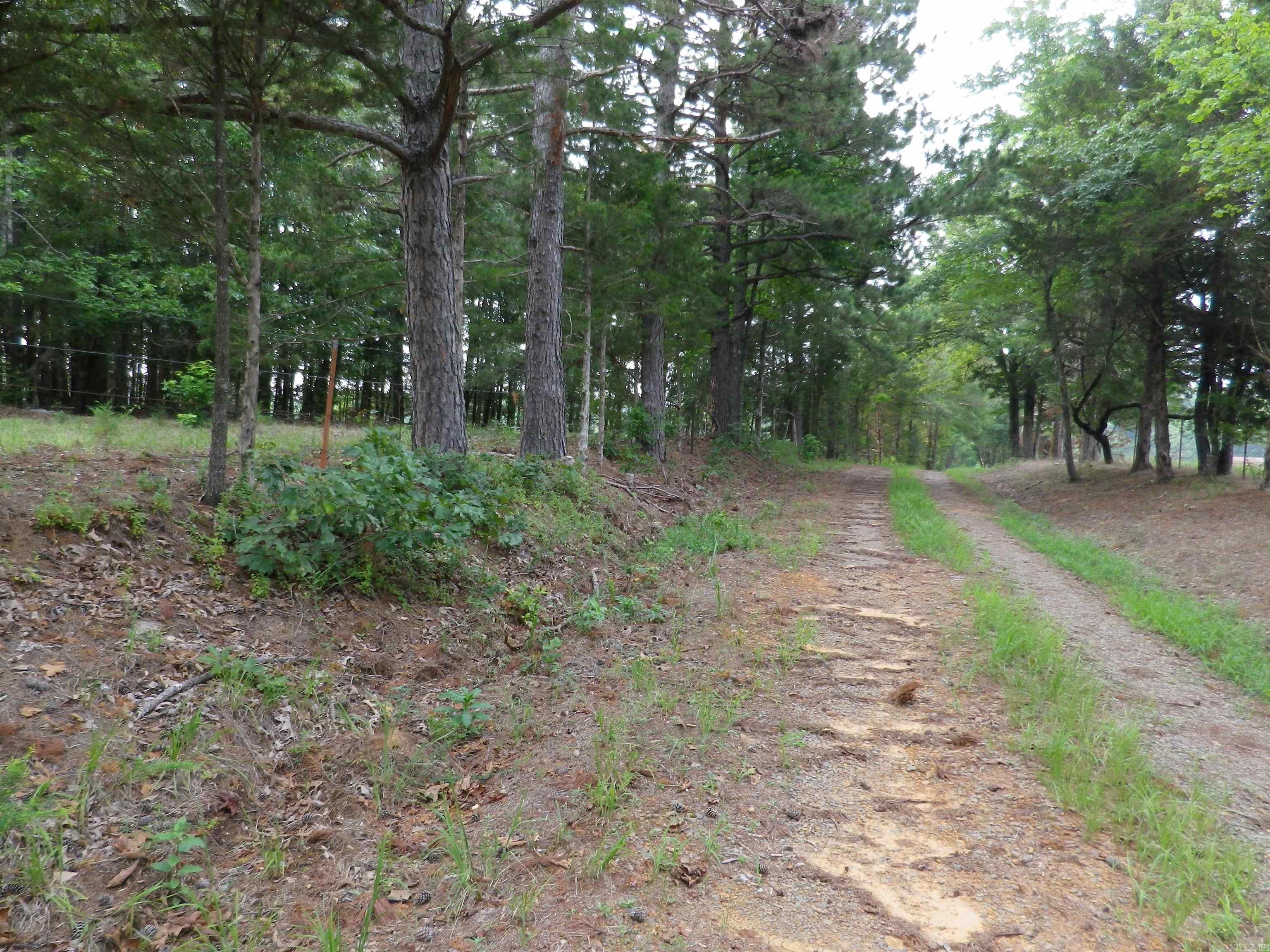 Metes & Bounds - Farm