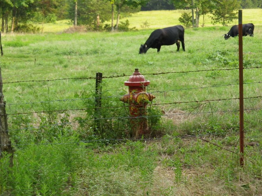 26 ACRES PASTURE, 12 ACRES TIMBER, 2 ACRE GAS PAD. WET WEATHER CREEK. 2+/- ACRES NORTH SIDE OF ROAD. FULLY FENCED SOUTH SIDE OF ROAD. 4 GATES IN. WATER ON SOUTH SIDE OF ROAD. ELECTRIC ON BOTH SIDES. INTERNET AVAILABLE. GOOD CELL SERVICE. AERIAL DOCUMENT ATTACHED. PRODUCING MINERAL RIGHTS CONVEY.