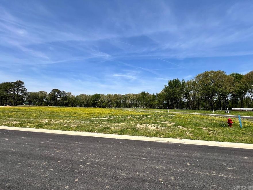 Build your future home on this spacious 0.42-acre corner lot located in the Horseshoe Creek Subdivision in Brookland, Arkansas. Situated within the Brookland School District, this vacant homesite offers an excellent opportunity to secure land in a growing community with a neighborhood setting already taking shape. As a corner lot, the property provides added flexibility for home placement, design options, and potential access points, along with a more open feel than interior lots. With ample space for a custom build, there is room for outdoor living, storage, or additional features to fit your vision. Whether you're planning to build soon or hold as a long-term investment, this lot offers a strong foundation in an established subdivision within a desirable school district.