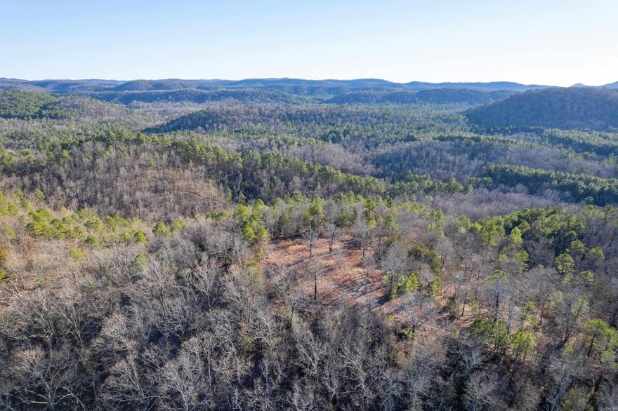 Escape it all on 32 glorious acres in the sought after Board Camp area, in the heart of the Ouachita Mountains. This property offers STUNNING 360 PANORAMIC VIEWS, multiple build sites, and sits 1/2 mile from the world class WOLF PEN GAP ATV trails. This property is the ultimate project for investors looking to build multiple INCOME GENERATING cabins, or who may want to subdivide  into high value lots. There are truly endless possibilities with this property!