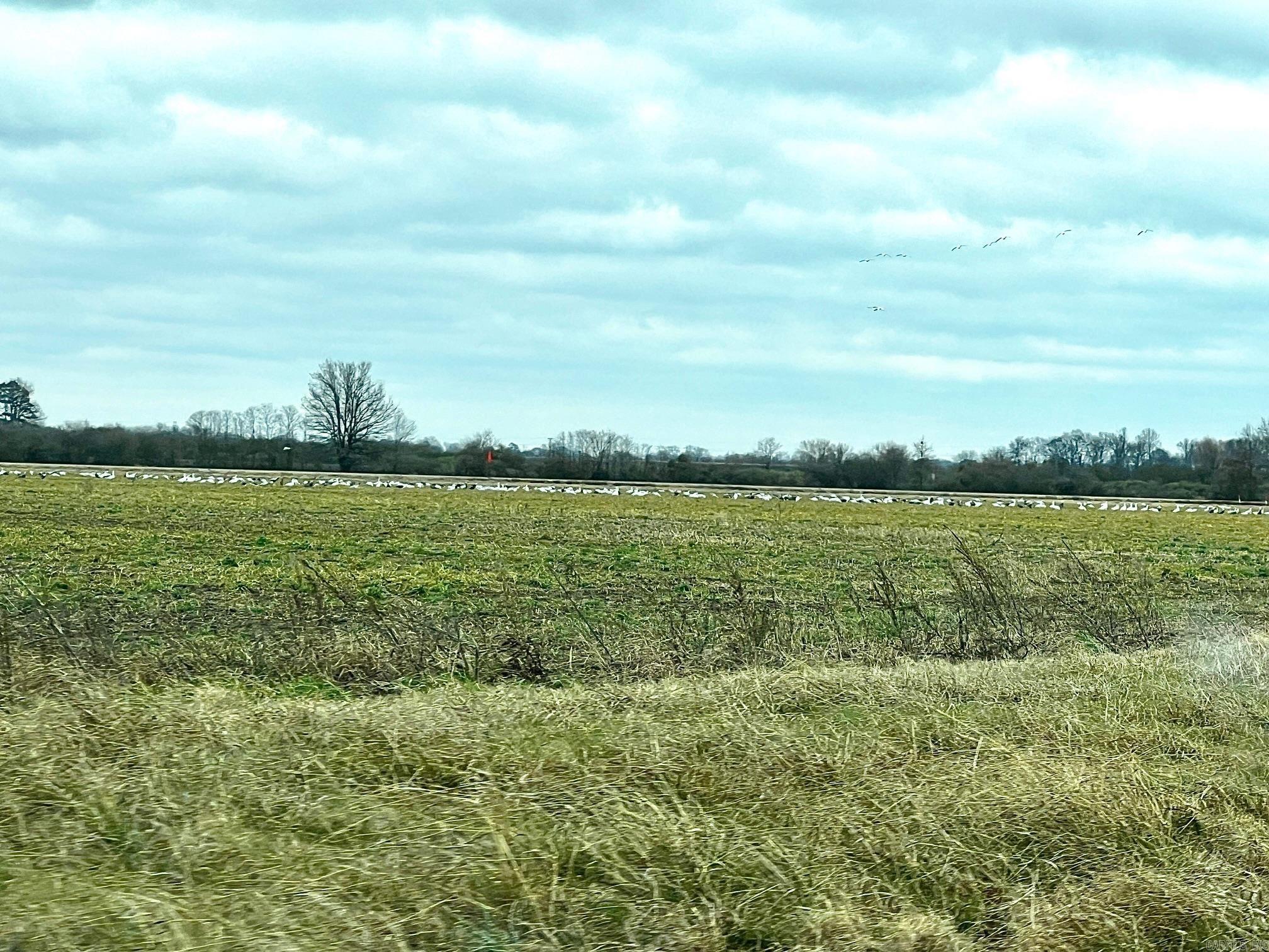 Metes & Bounds - Farm