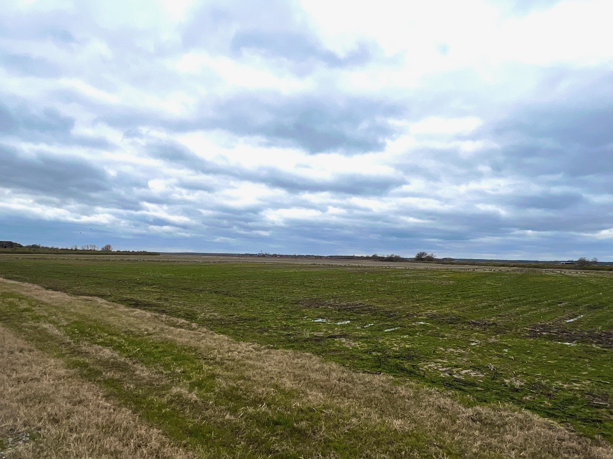 Metes & Bounds - Farm