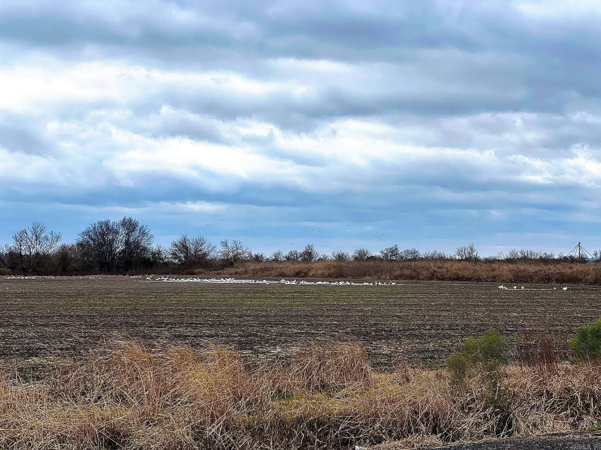 Metes & Bounds - Farm