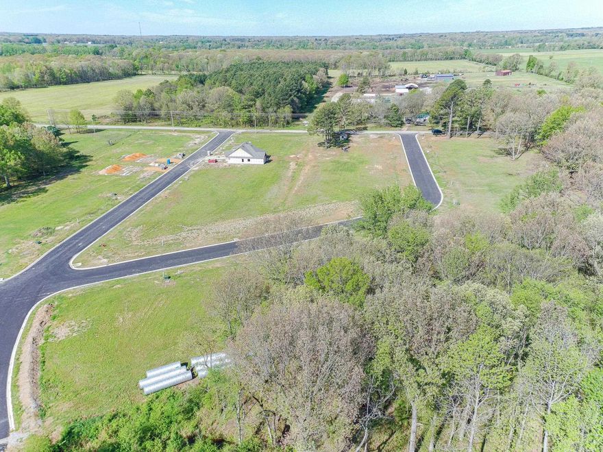 Welcome to Horseshoe Creek Subdivision in Brookland, Arkansas! Beautiful family building lots available and ready to build on.  This neighborhood has a great country feel but with city amenities!