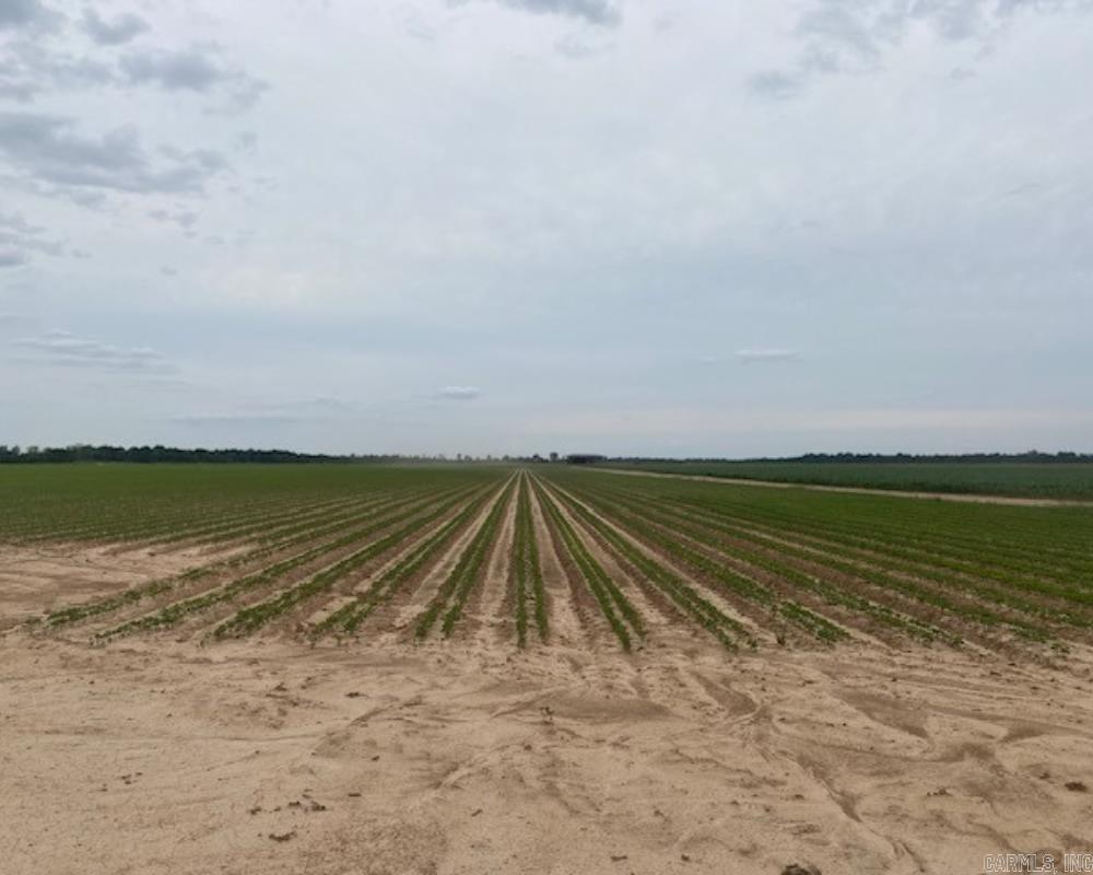Square footage resembles land size