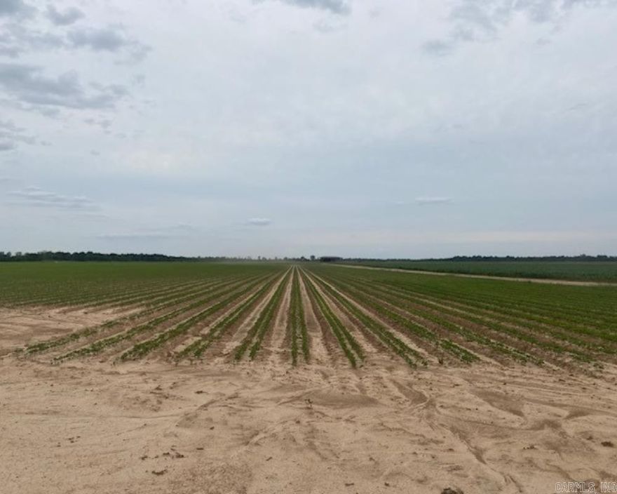 Square footage resembles land size