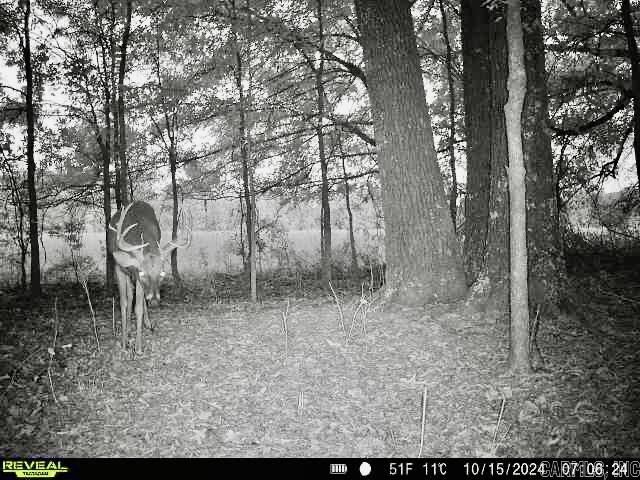 Metes & Bounds - Farm