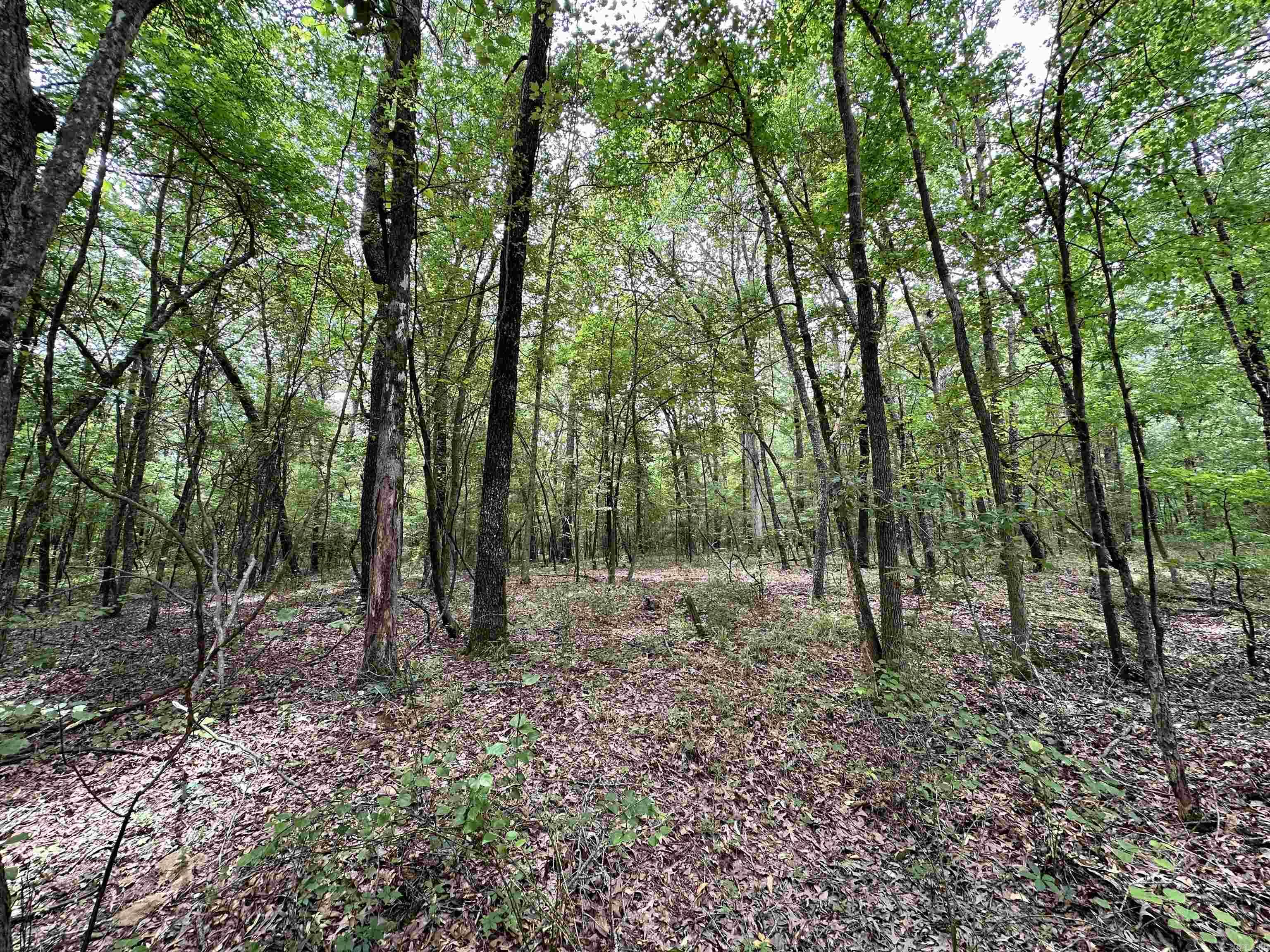 Metes & Bounds - Farm