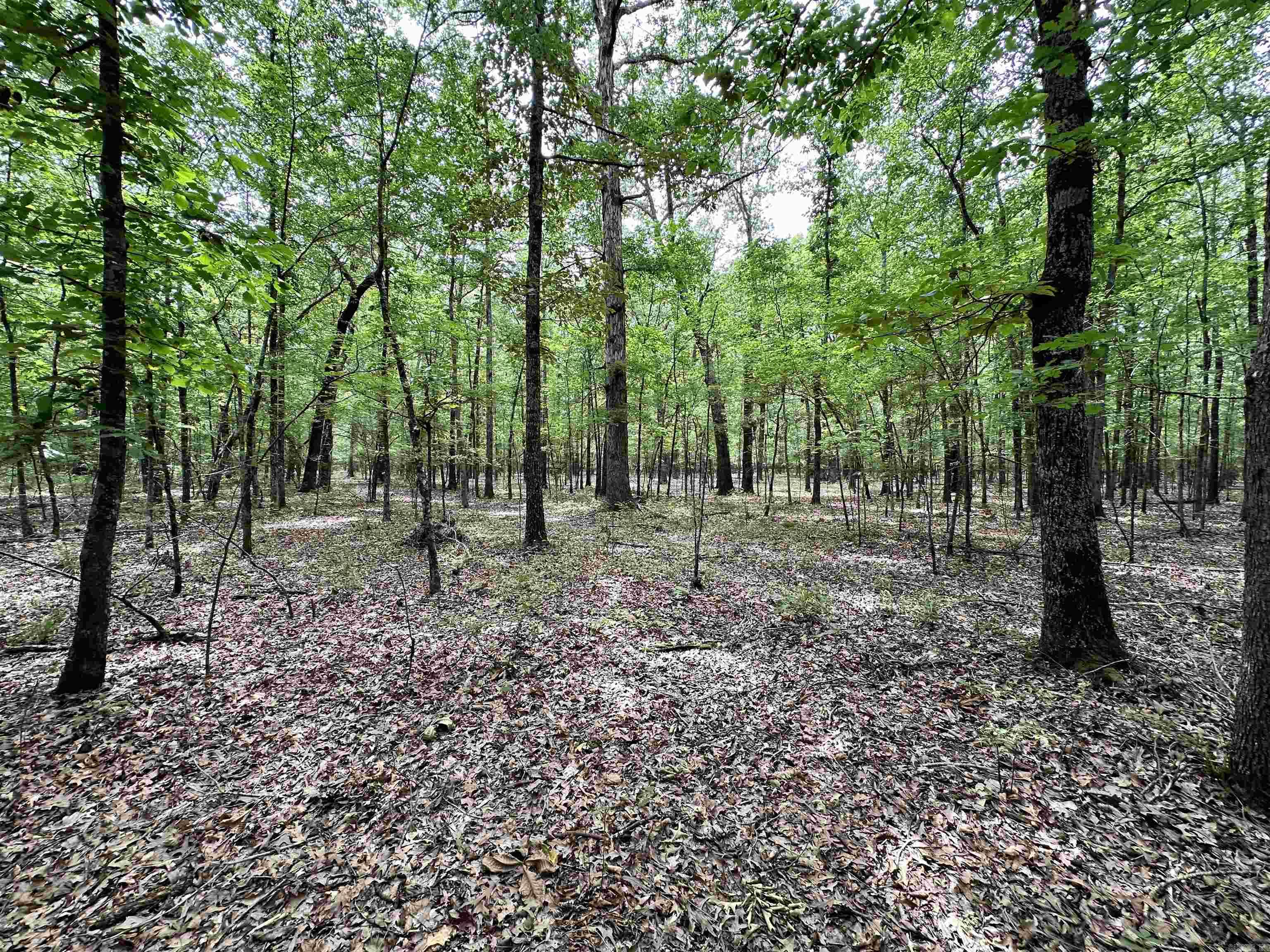 Metes & Bounds - Farm